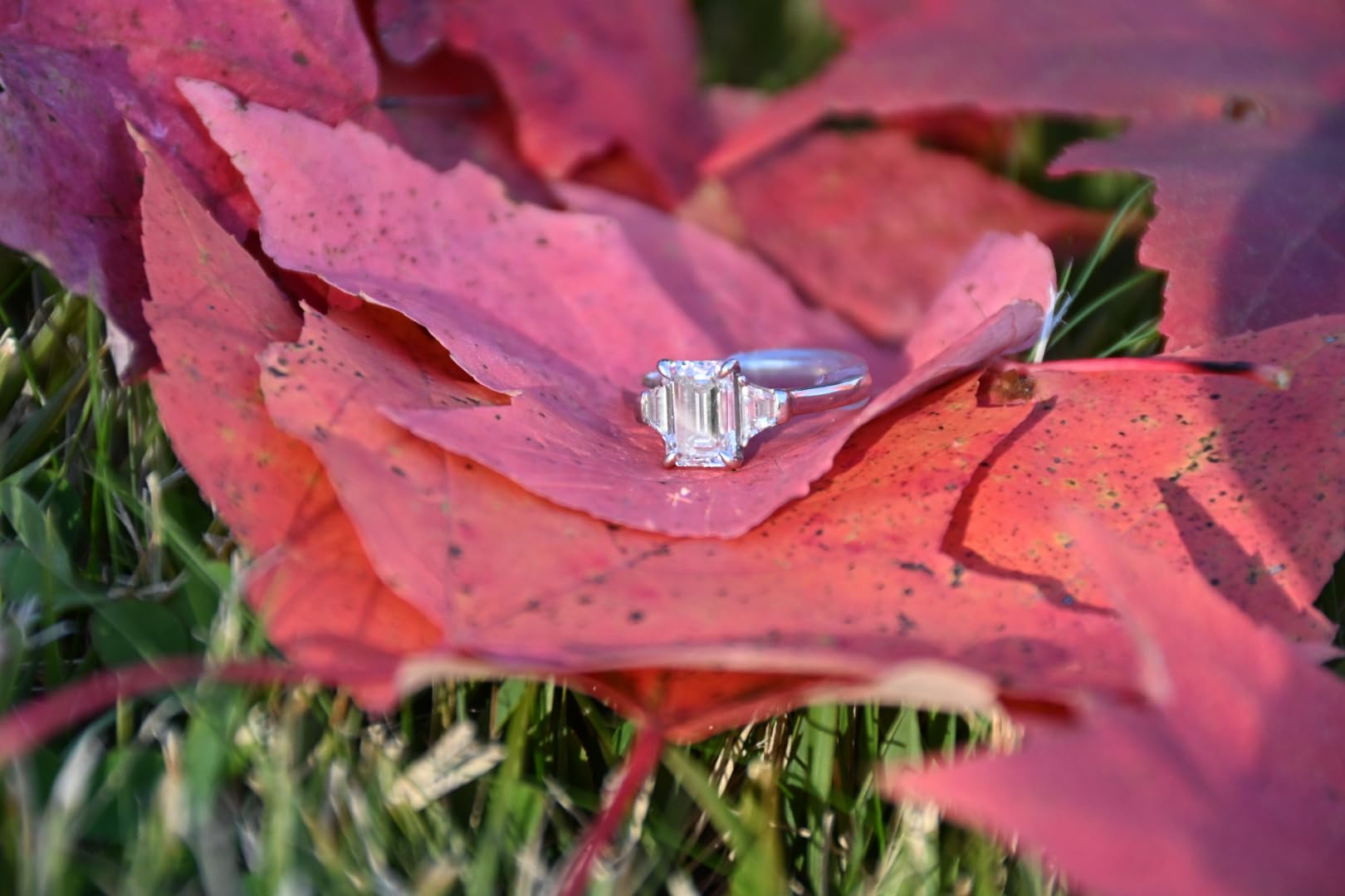 Nikon Z50 II with Two Lenses | Compact mirrorless Stills/Video Camera with Easy Color presets and Wireless Photo Sharing | USA Model customer photo 1