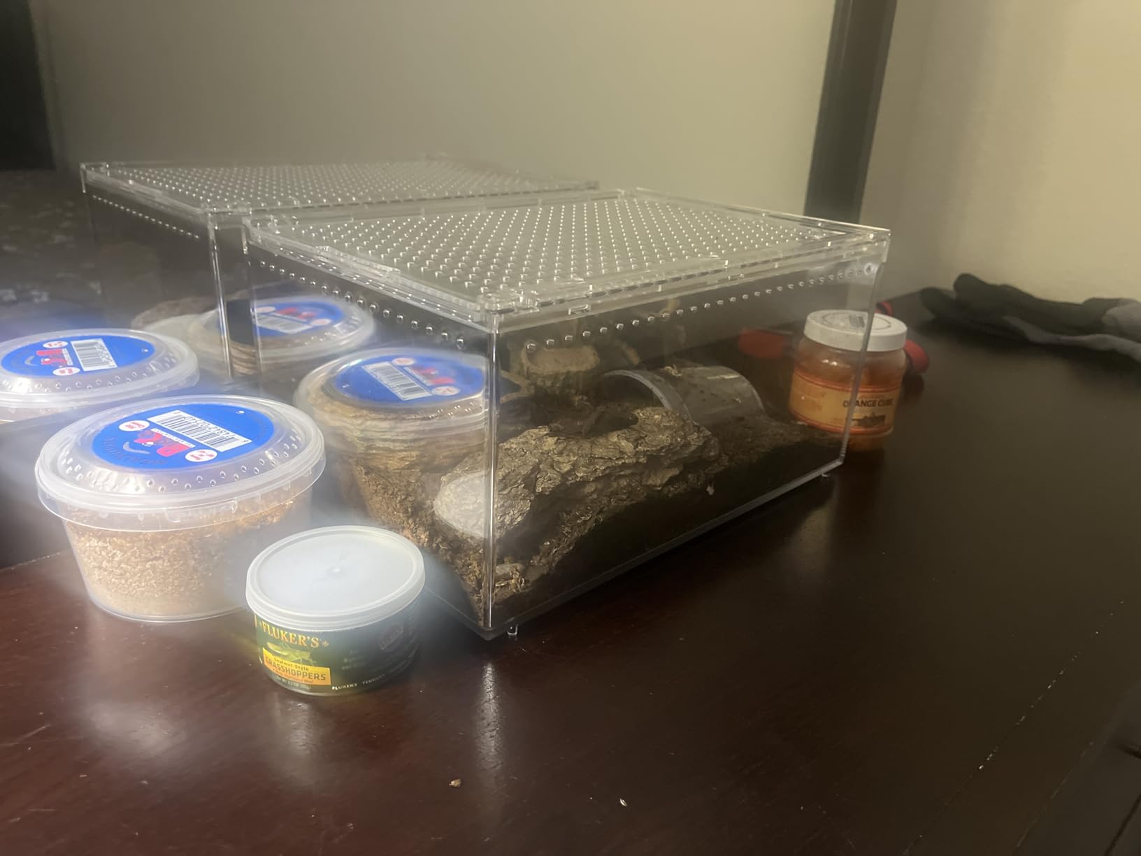 AZV Escape Proof Reptile Terrarium,Shatter Proof Polycarbonate Tarantula Tank with Magnetic Lid,Ventilated Spider Enclosure,360° Clear View,Easy Clean Habitat for Gecko,Frogs,Insects,Hermit Crabs L customer photo 1