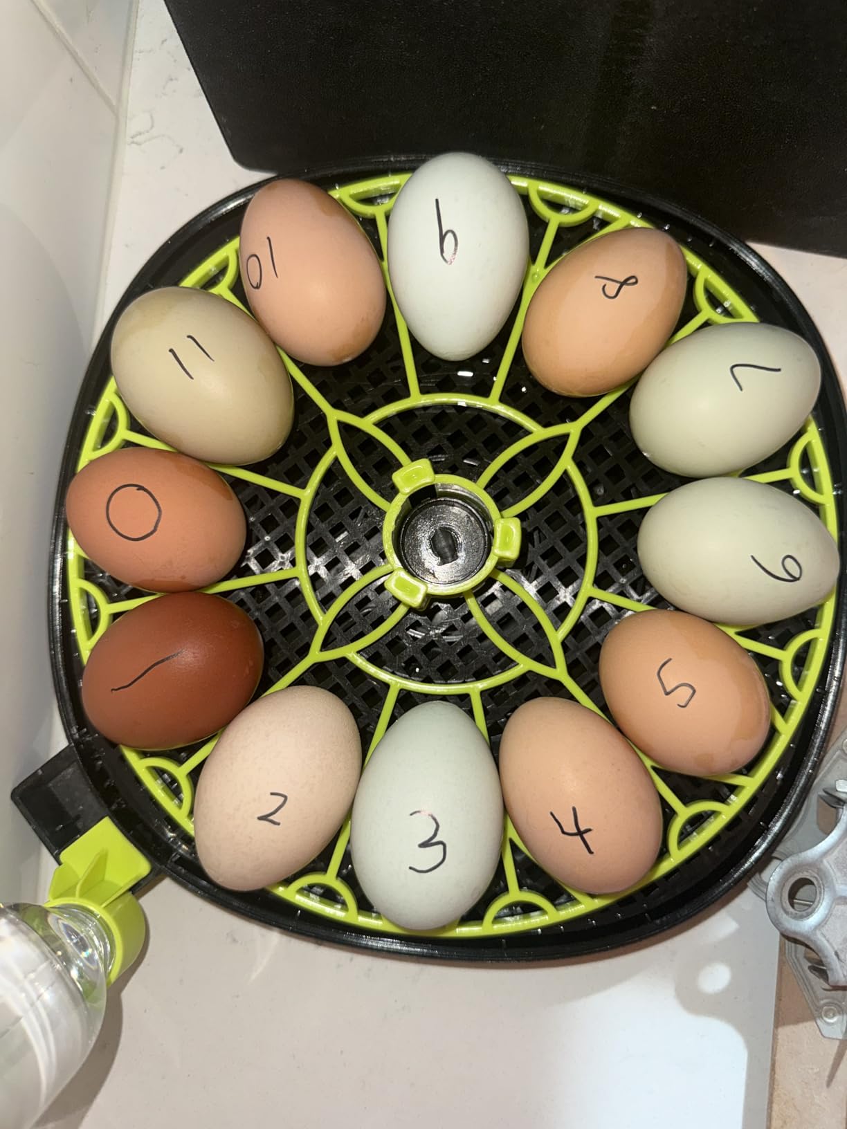 Incubators for Hatching Eggs 12 Egg Incubator with Automatic Egg Turning and Humidity Control,Egg Candler,Auto Water Replenishment,for Chicken Eggs and Quail Egg M12H customer photo 2
