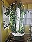 Tower Garden Flex Aeroponic Vertical Growing Tower customer photo 1