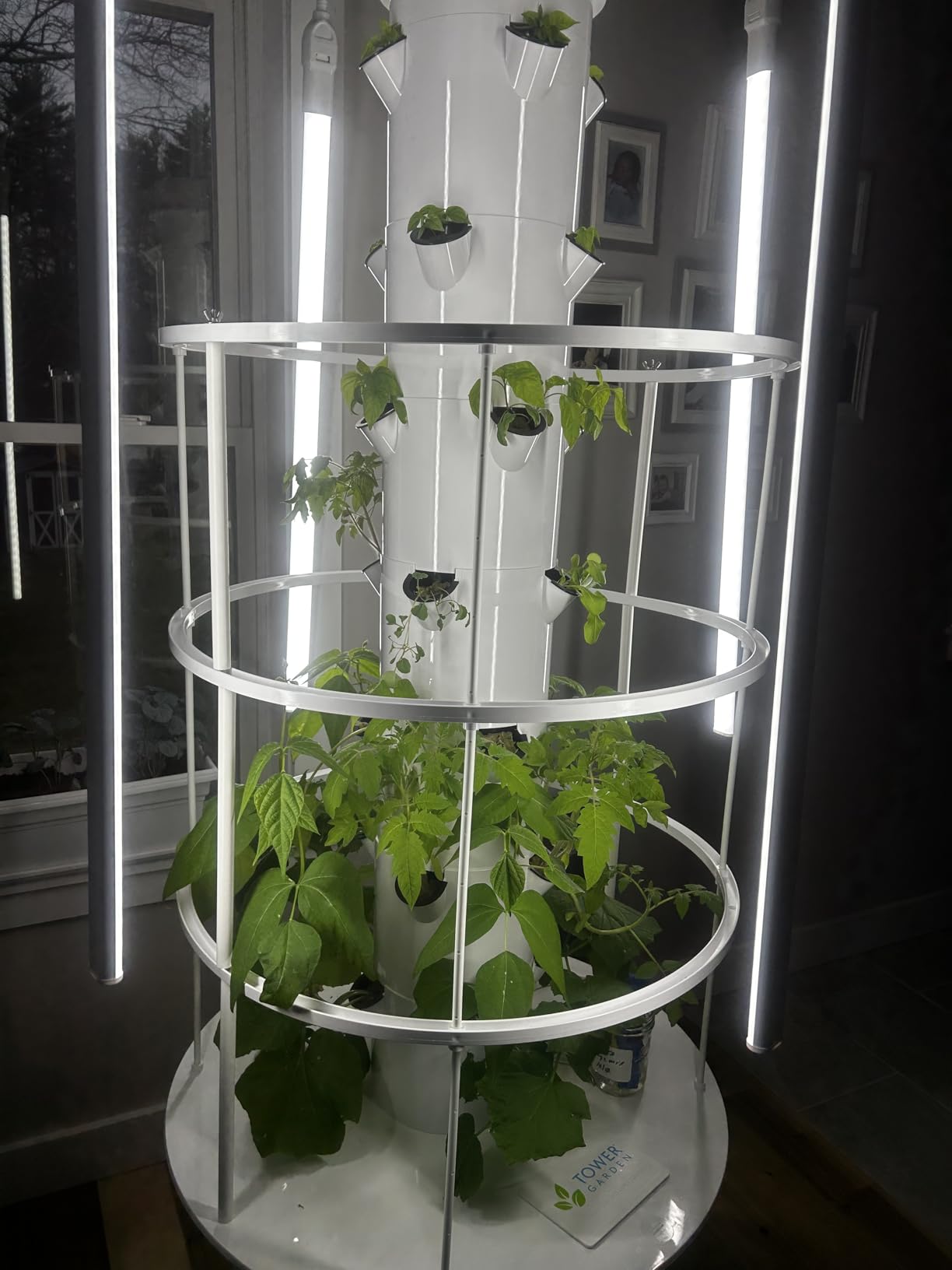 Tower Garden Flex Deluxe Vertical Aeroponic Planter customer photo 1