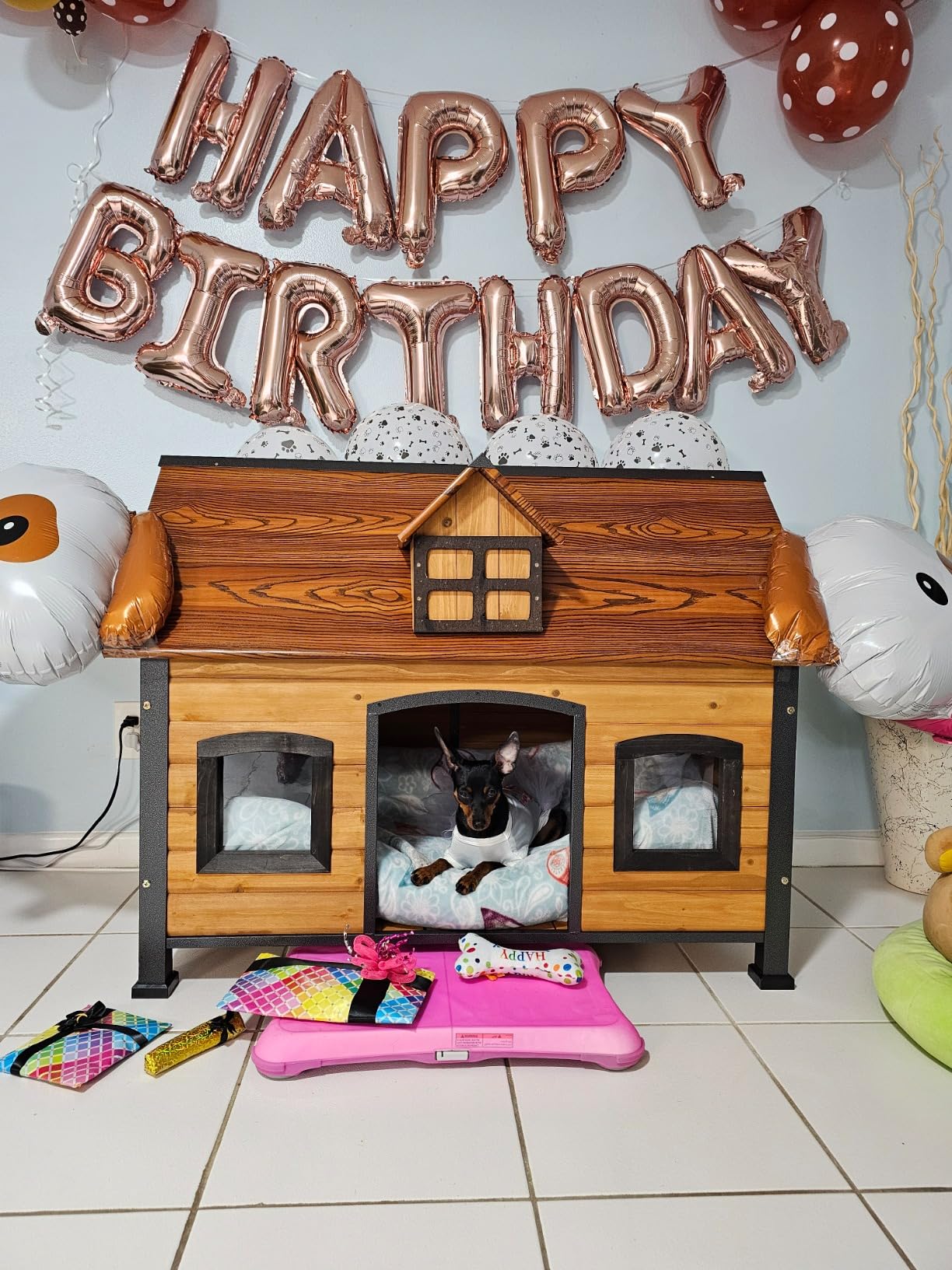 GUTINNEEN Heated Dog House Outdoor 59.1