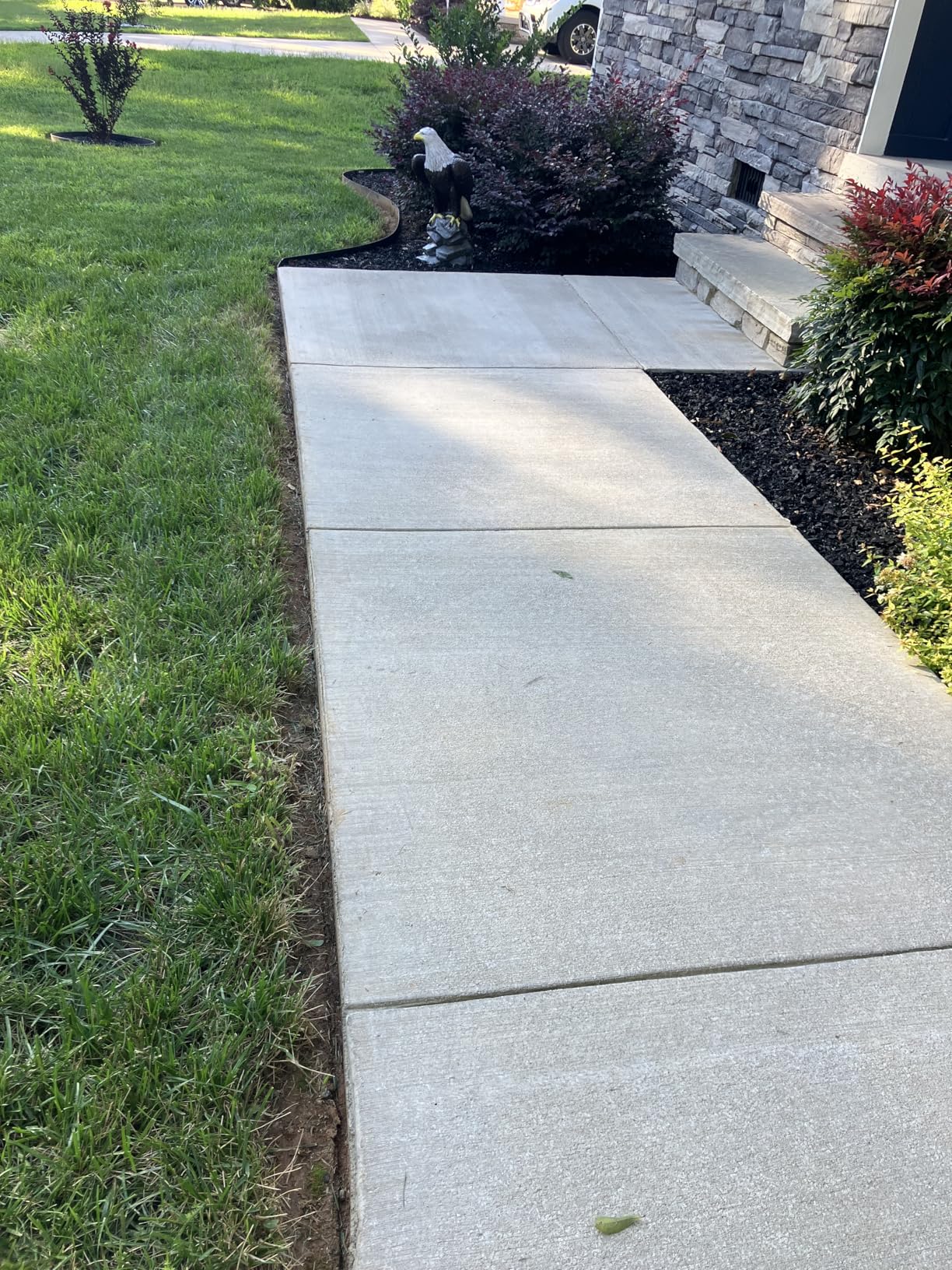 EGO Power+ Edger & Power Head Kit, Cordless Electric 8