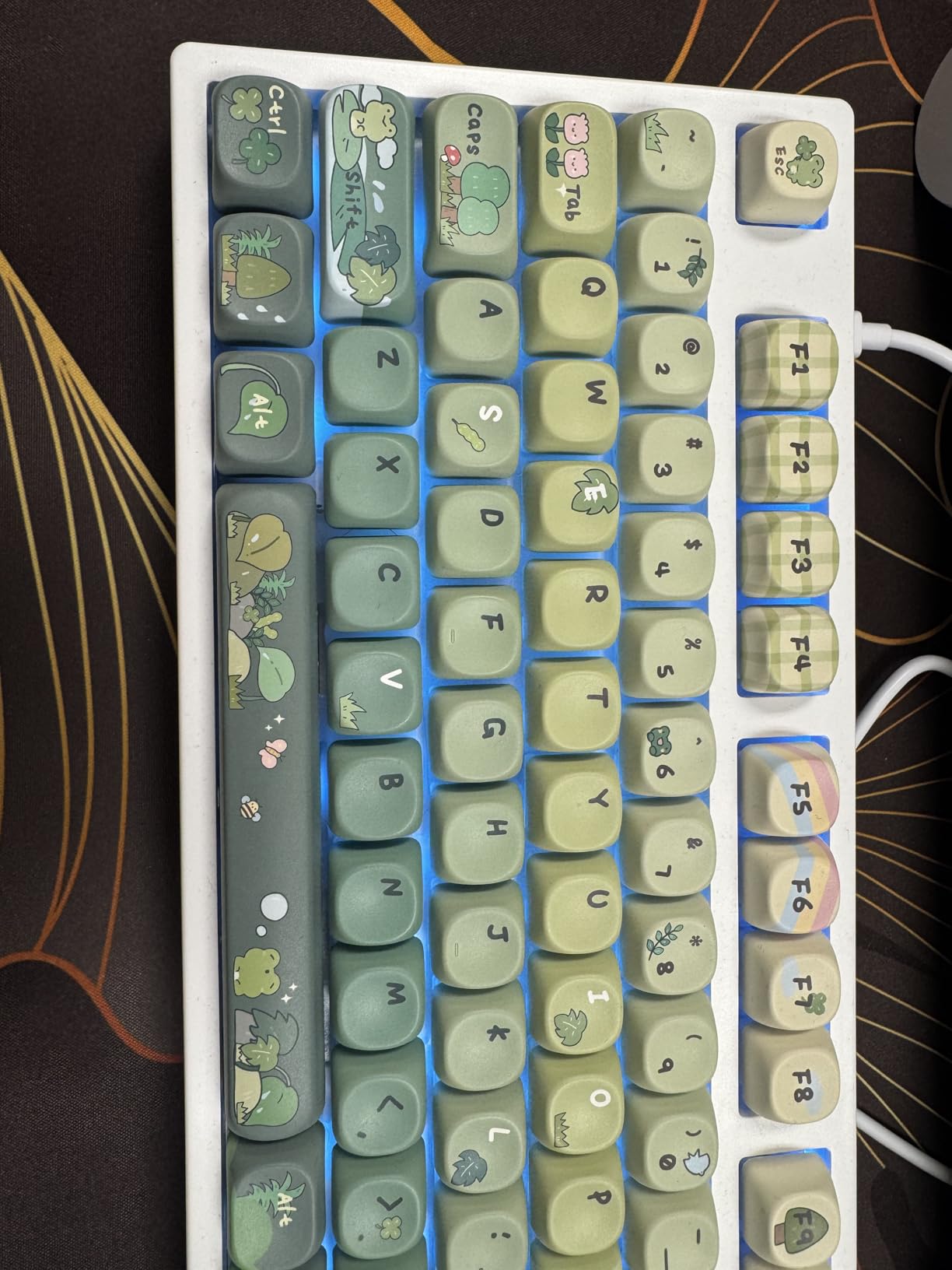 KiiBoom X Cosydiaries Rainy Froggy Day Keycap Set, 144 Keycaps, PBT Custom Keycaps for Mechanical Keyboard, Compatible with ANSI/ISO, 60%, 65%, 75%, TKL, Full-Sized Layout (MOA Profile) customer photo 2