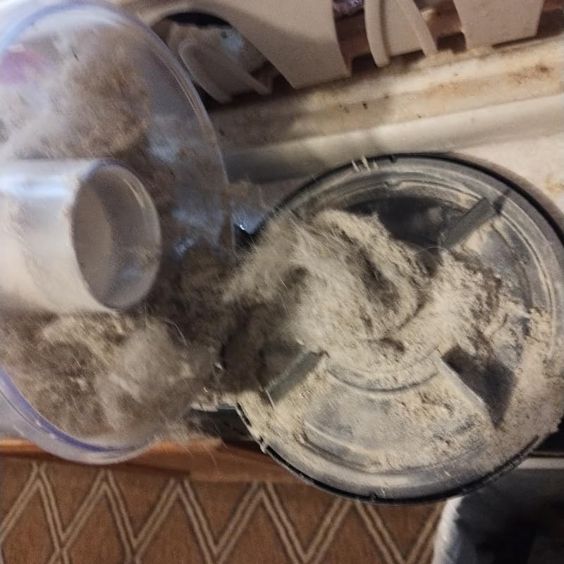 Bissell Pet Hair Eraser Allergen Lift-Off with Powerful Suction, HEPA, Tangle-Free Brush Roll, 39883 customer photo 1