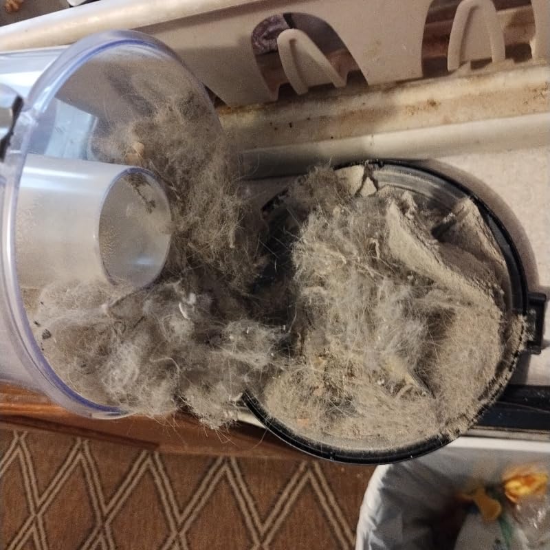 Bissell Pet Hair Eraser Allergen Lift-Off with Powerful Suction, HEPA, Tangle-Free Brush Roll, 39883 customer photo 2