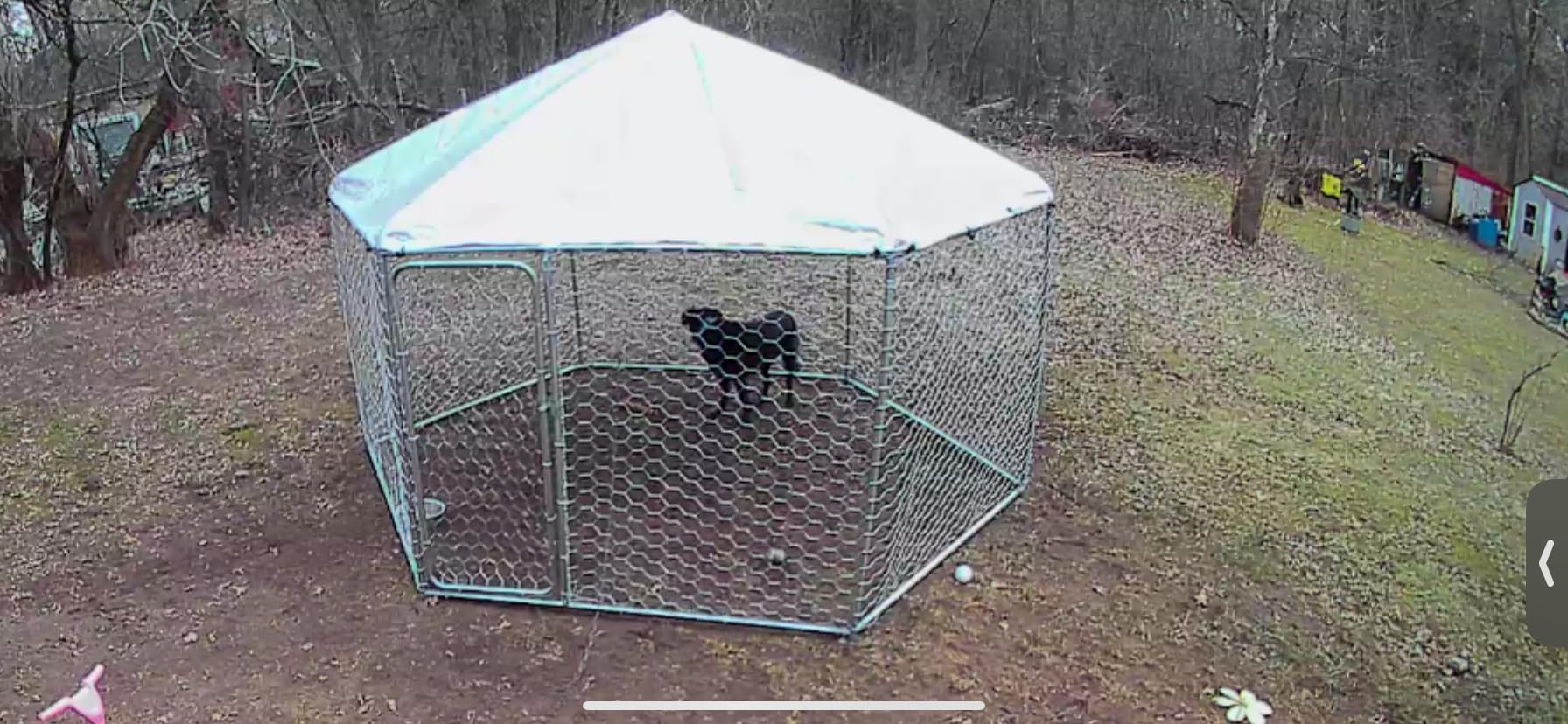 Bulb Cam Security Camera, 2K HD Outdoor Light Bulb Camera, Color Night Vision, Dimmable LED Bulb, Motion Detection, Siren Alarm, Works w/Alexa/Google Assistant. Free Expert Support customer photo 1