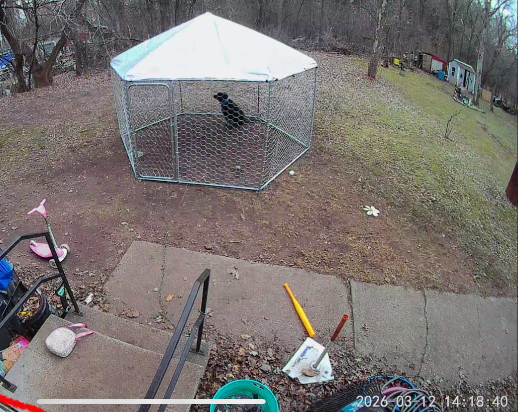 Bulb Cam Security Camera, 2K HD Outdoor Light Bulb Camera, Color Night Vision, Dimmable LED Bulb, Motion Detection, Siren Alarm, Works w/Alexa/Google Assistant. Free Expert Support customer photo 2