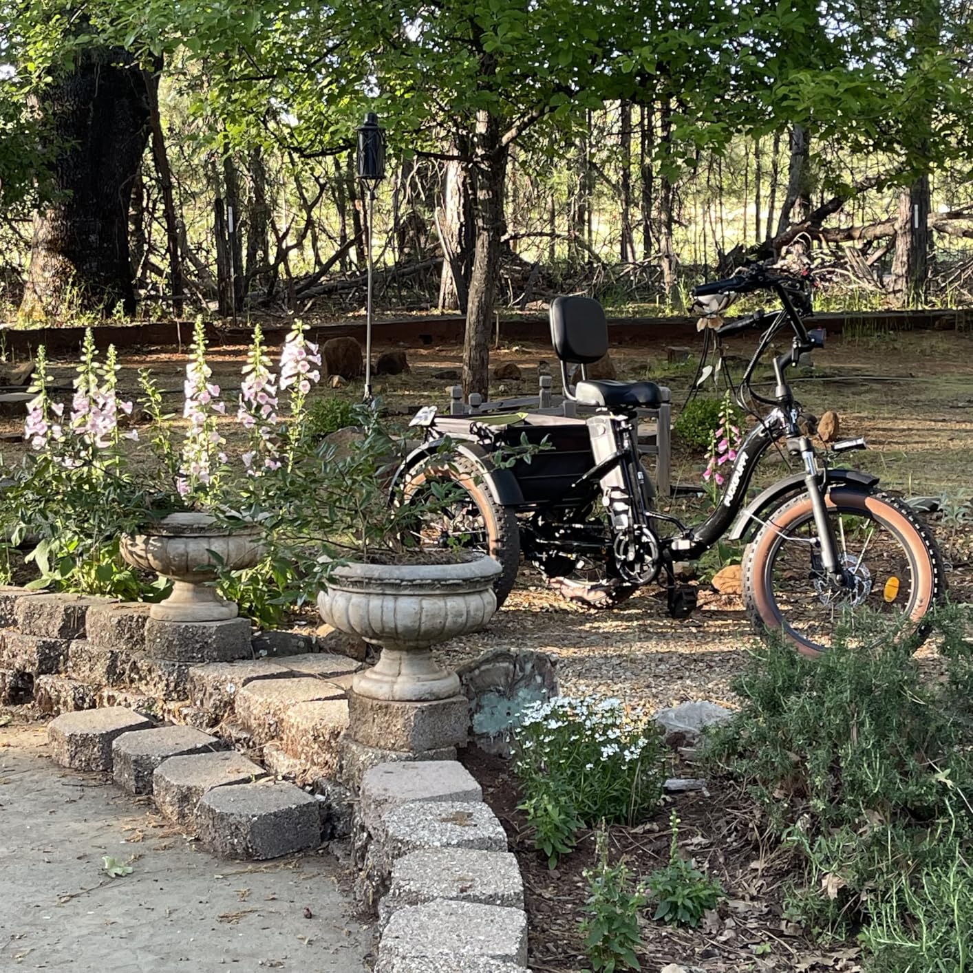 Electric Tricycle for Adults, 960W Max Rear Motor Electric Trike with 48V 648Wh Battery, 20