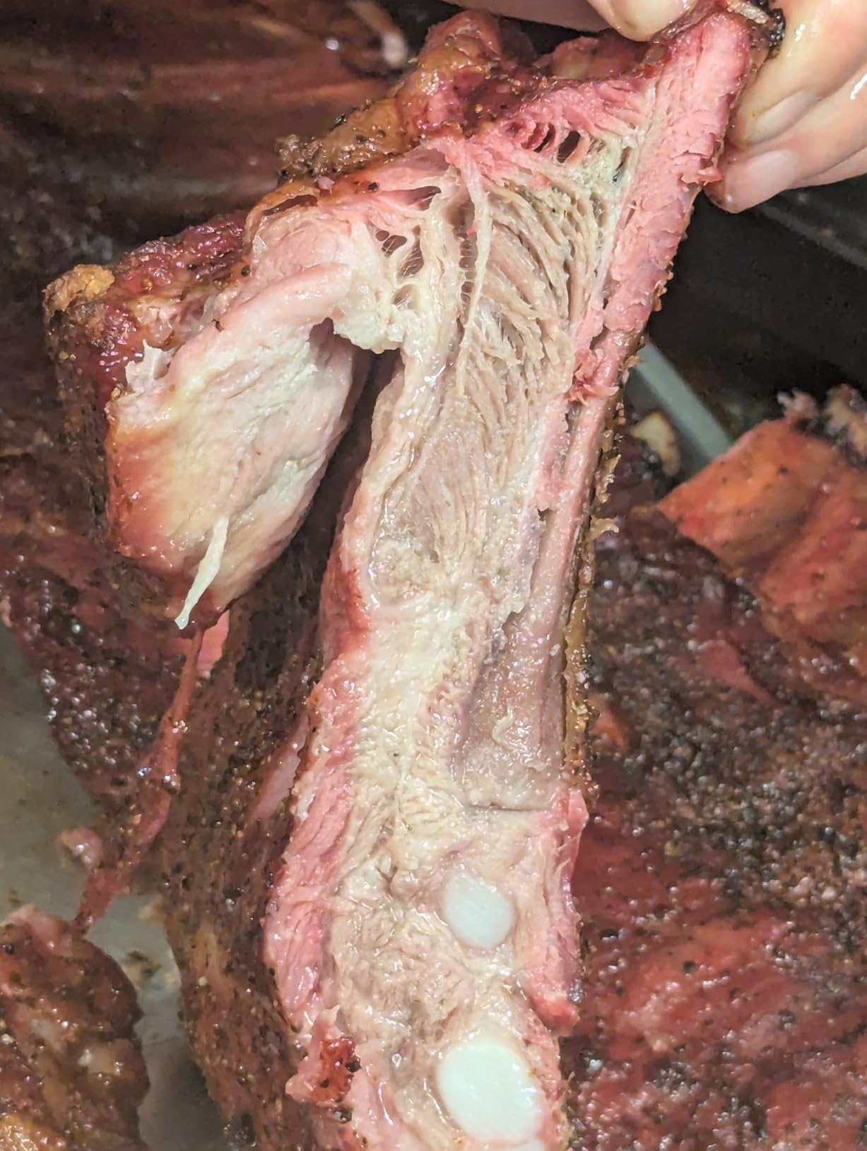 Traeger Grills Woodridge Electric Wood Pellet Grill and Smoker, Wi-Fi Temperature Control up to 500 Degrees, 860 Sq. In. Cooking Capacity, 6-in-1 for Outdoor Grilling, Smoking, and BBQ, TFB86MLH customer photo 2