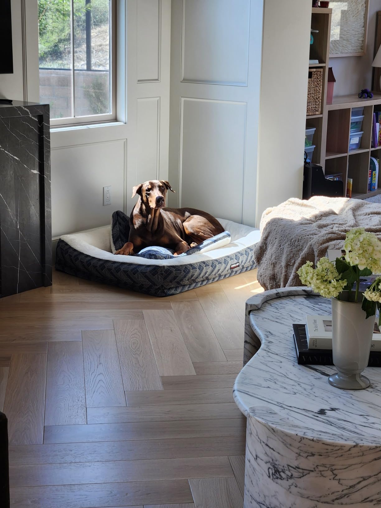 ECOVACS DEEBOT T50 MAX PRO Omni Robot Vacuum and Mop, 18,500Pa Suction, 18mm Auto-Lift, ZeroTangle &TruEdge 2.0, AIVI 3.0 Obstacle Avoidance, Auto Hot Water Mop Wash/Dry/Refill, Self-Emptying customer photo 1