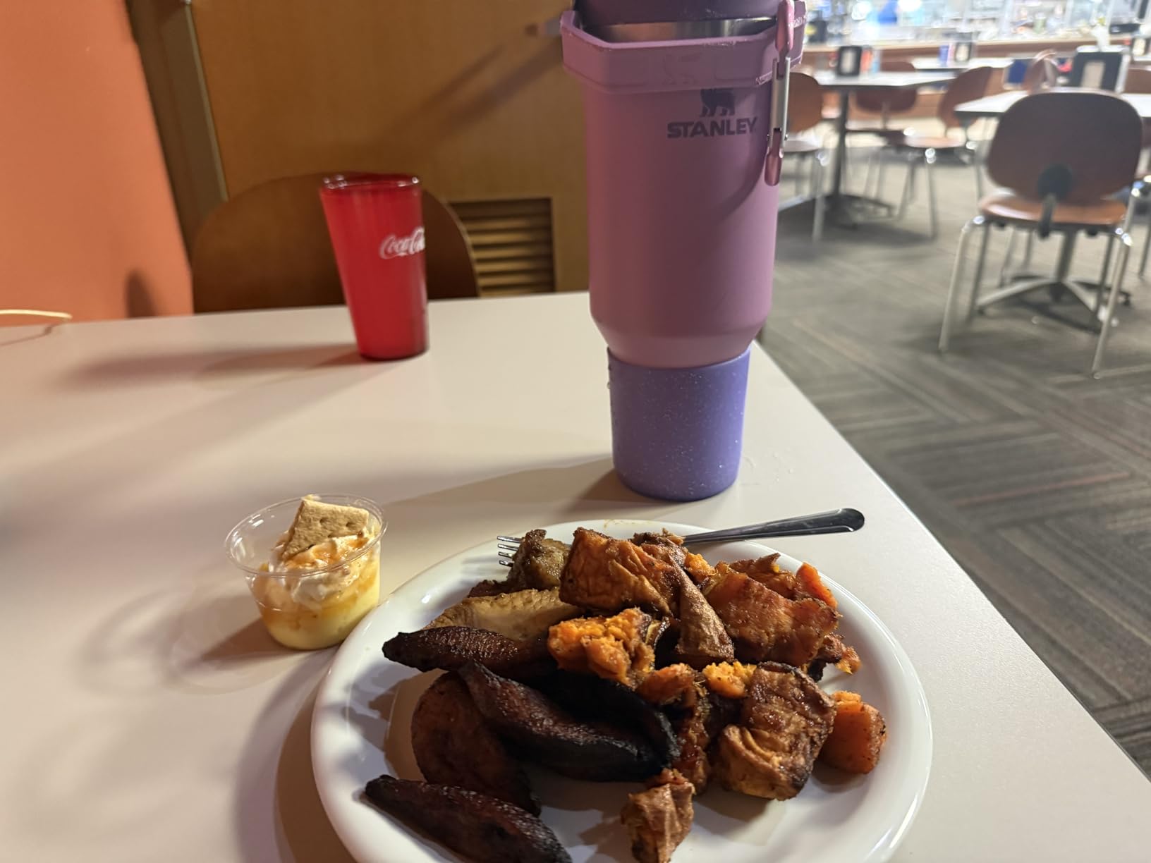 Stanley IceFlow 2.0 Flip Straw Tumbler with Handle 40 oz | Twist On Lid and Flip Up Straw | Leak Resistant Water Bottle | Insulated Stainless Steel | BPA-Free | Rose Quartz customer photo 1