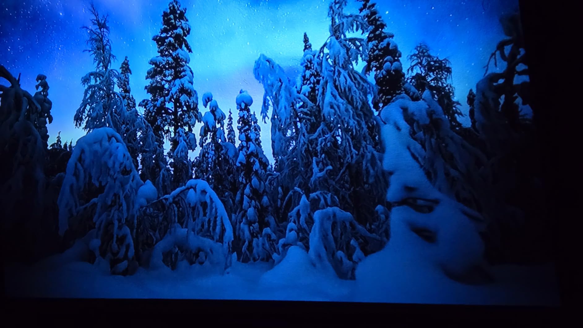 Mini Projector, 2025 Upgraded Full HD 1080P Support Video Projector, Portable Small Movie Projector, Compatible with iOS/Android/Windows/TV Stick/Box/USB/HDMI customer photo 1