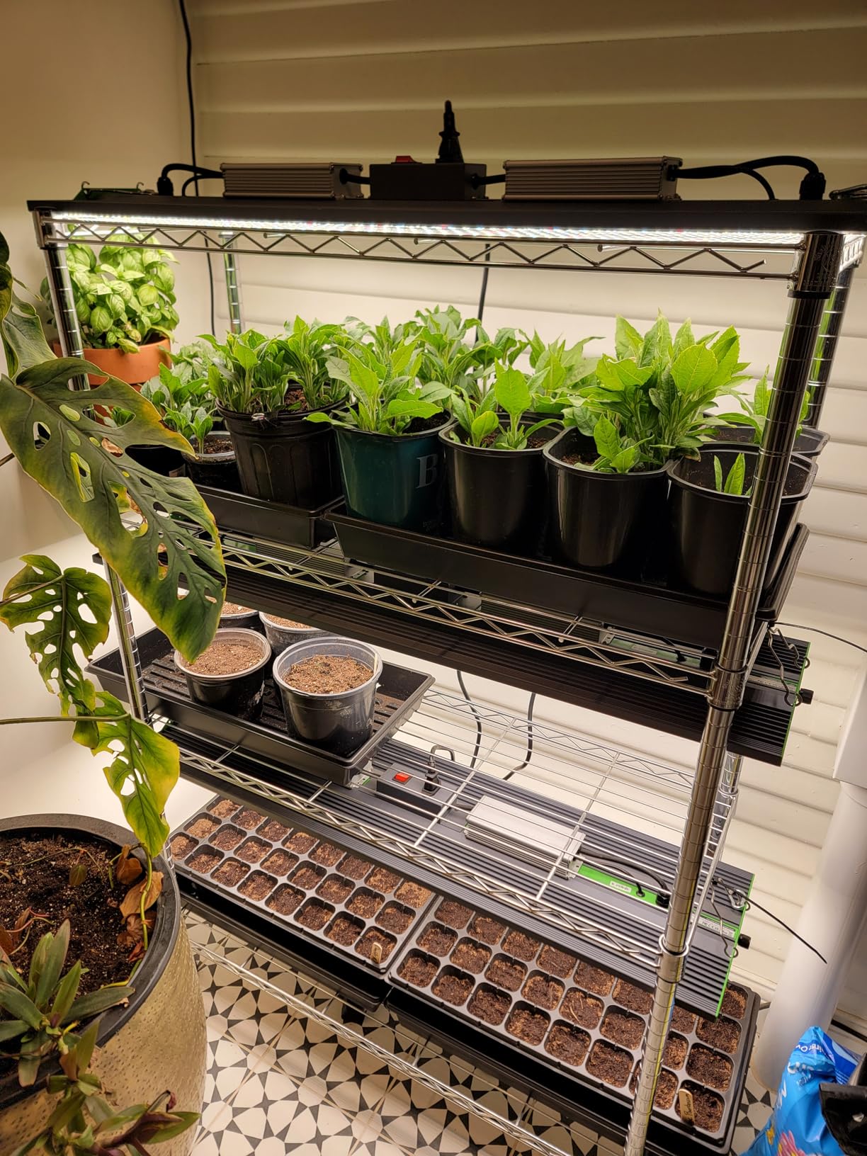 VIPARSPECTRA P700 Grow Light, 70 Watt Dimmable Full Spectrum Plant Light, LED Grow Lights for Indoor Plants Seed Starting Seedlings Vegetable,11000 Lumens Small Hanging Growing Lamp for 2x2 Grow Tent customer photo 1