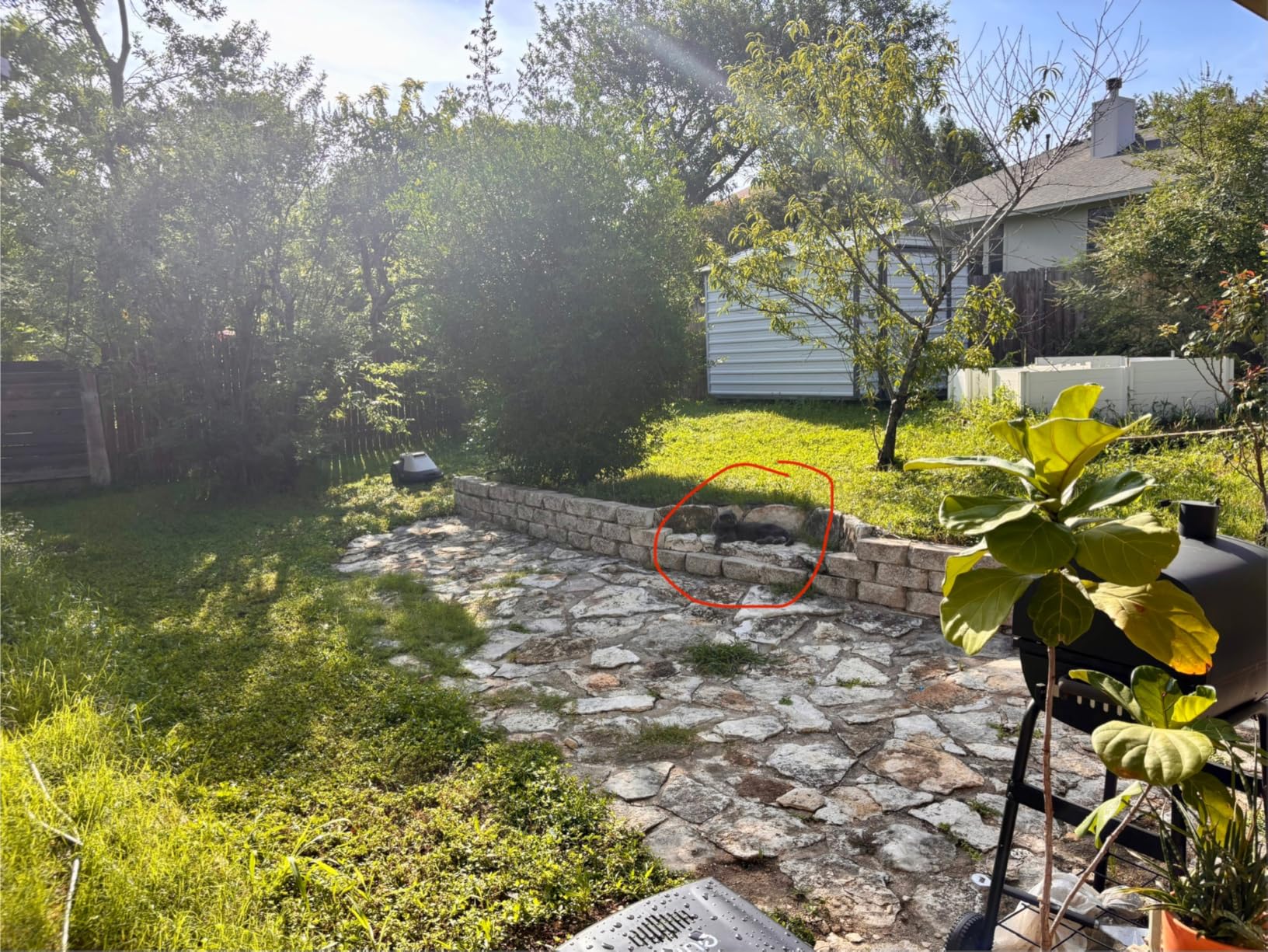 eufy Robot Lawn Mower E15, Auto Mapping, Pure Vision Navigation, No Wire Required, No Signal Failures, Multi-Zone Management, AI 3D Obstacle Avoidance, GPS Anti-Theft, 0.2 Acres, 18° Slope, App Control customer photo 2