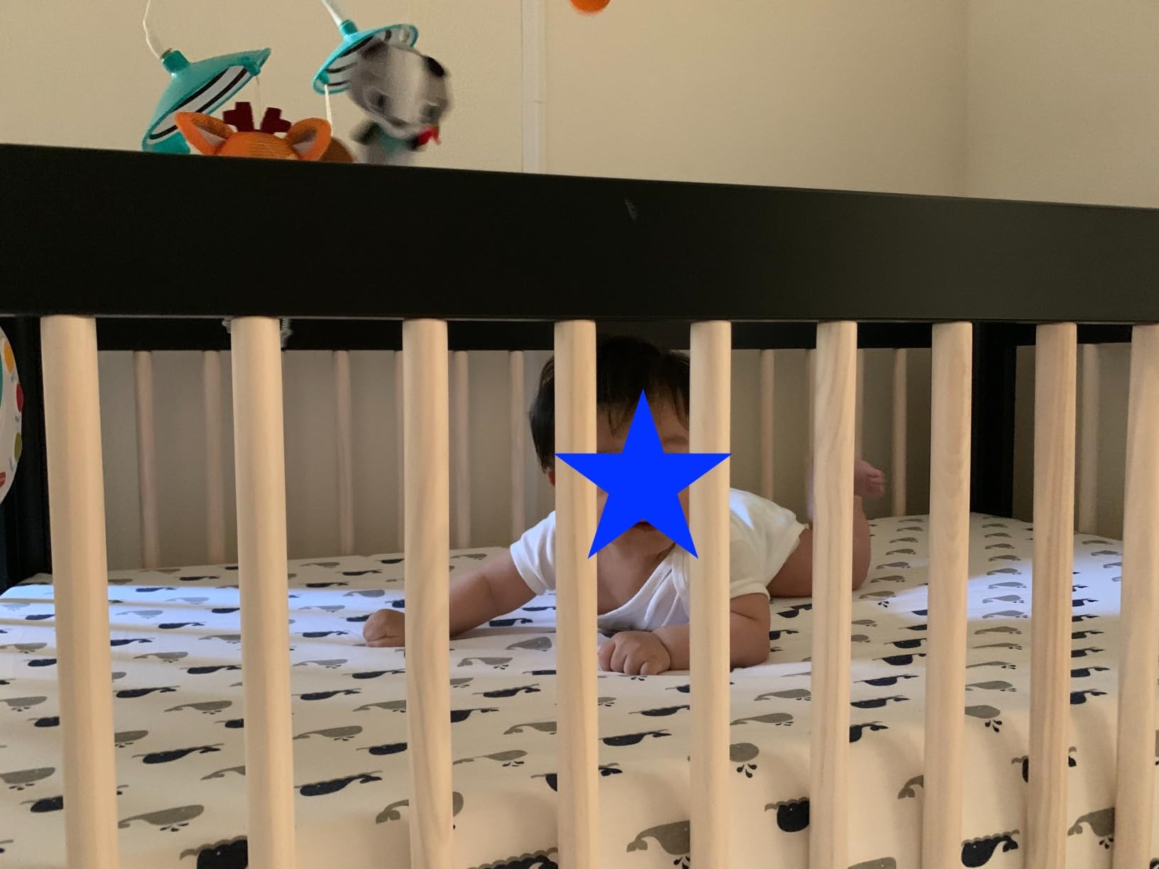 Lolly 3-in-1 Baby Crib Convertible to Toddler Bed & Daybed - GREENGUARD Gold Certified - 4 Adjustable Heights - Includes Toddler Conversion Kit - Made of 100% Solid Wood - Natural Walnut customer photo 1