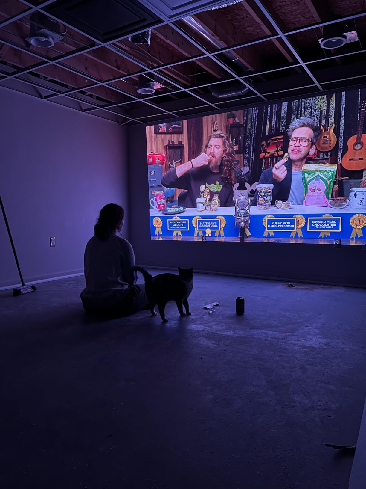 StreamMaster Plus2 4K Laser Projector - 300