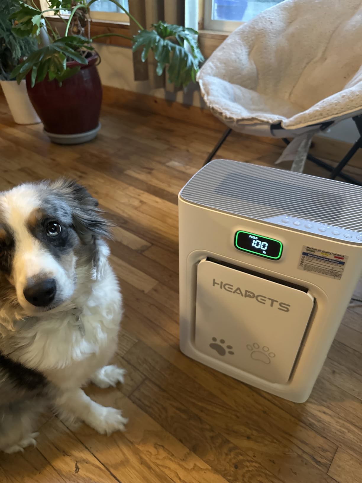 Pet Air Purifier for Home Large Room 2500 sq ft, H13 HEPA Washable Double-Sided Filter, Air Cleaner for Pet Hair Dander Odor Allergies Pollutant Smoke Dust, PM2.5 Air Quality Monitor, Auto Mode, P358 Grey customer photo 1