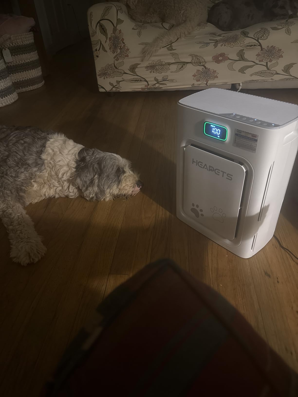 Pet Air Purifier for Home Large Room 2500 sq ft, H13 HEPA Washable Double-Sided Filter, Air Cleaner for Pet Hair Dander Odor Allergies Pollutant Smoke Dust, PM2.5 Air Quality Monitor, Auto Mode, P358 Grey customer photo 2