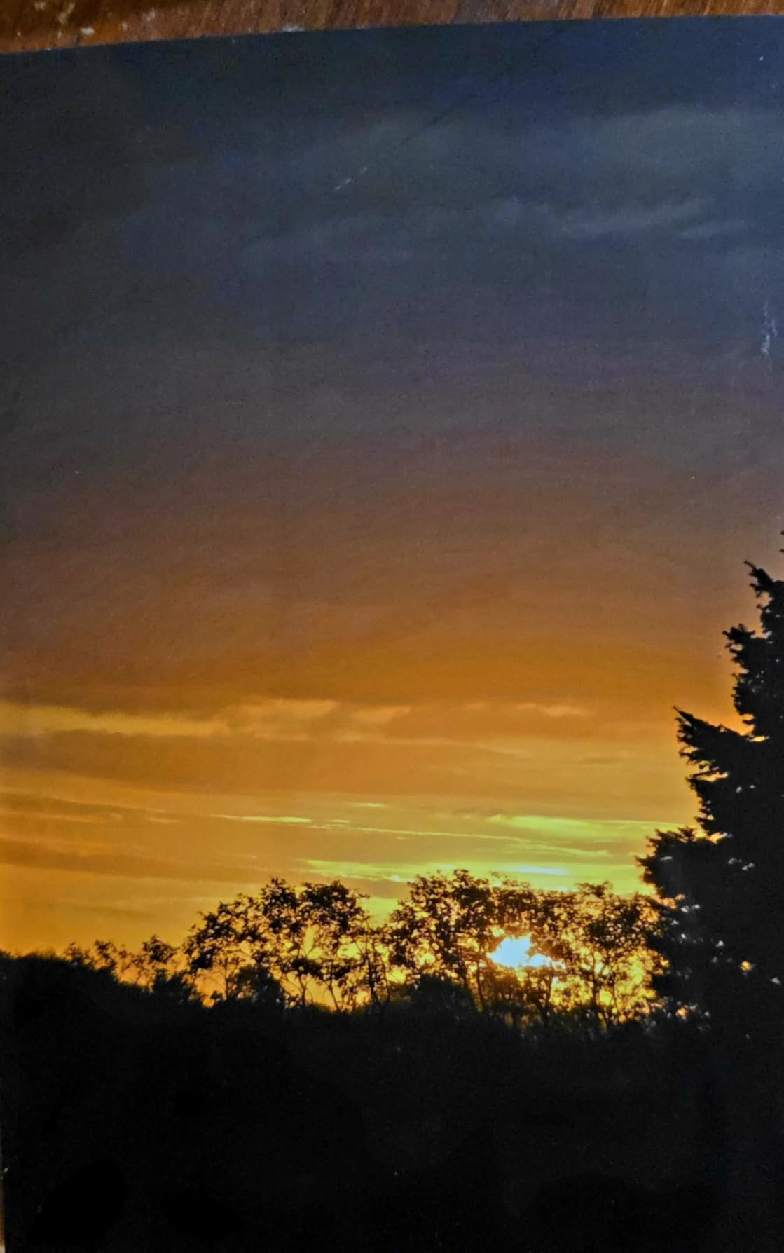 Canon PIXMA PRO-200S Professional 13