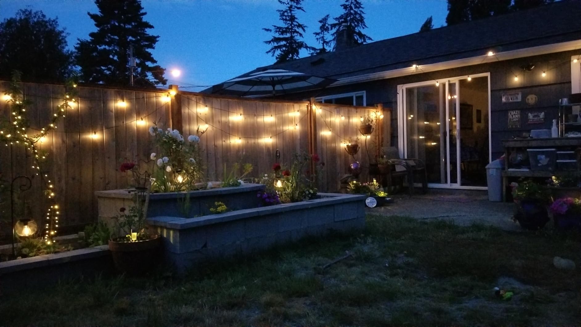 ZJOJO LED Outdoor String Lights,100FT Outdoor Lights for Patio with 32 Shatterproof Bulbs, 2700K Dimmable Waterproof Globe LED Patio Light Lights for Outside Christmas Backyard Bistro Porch Garden customer photo 2