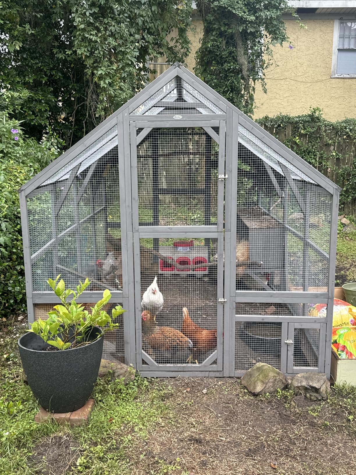 PawHut Large Chicken Run, Wooden Chicken Coop with Waterproof & Anti-UV Cover, Split Door, 2 Nesting Boxes, 2 Roosting Bars, Walk-in Poultry Pen for 6-8 Hens, for Backyard, Farm, 5.5' x 6' x 6' customer photo 2