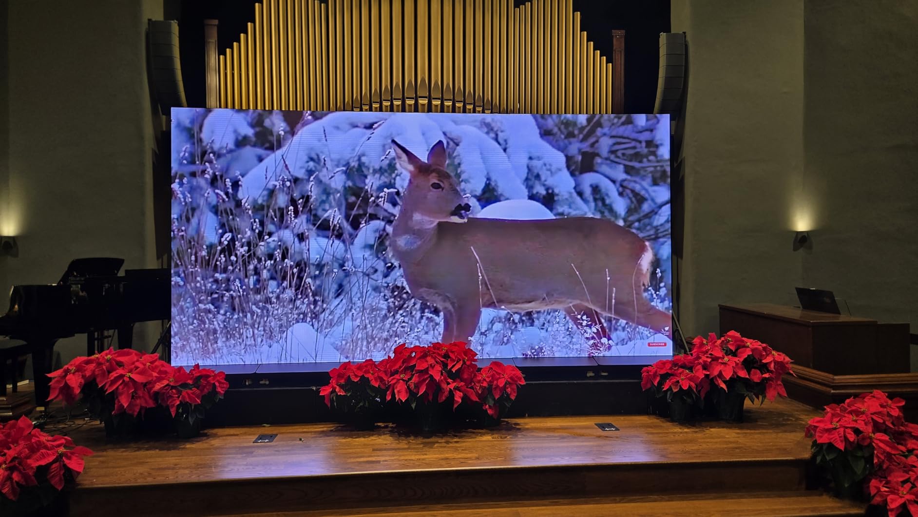 MWE LED Digital Signage Display with Flight Case, P1.86 Spliceable LED Poster Screen with Publishing System, Foldable Advertising Display Kiosk for Events and Rentals customer photo 1