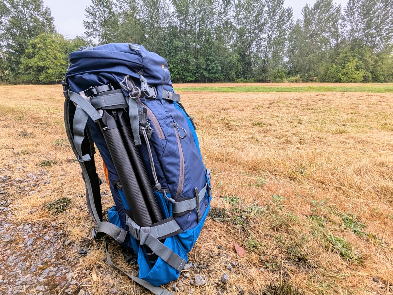 Falcam TreeRoot F38 Pro Carbon Fiber Tripod, 61