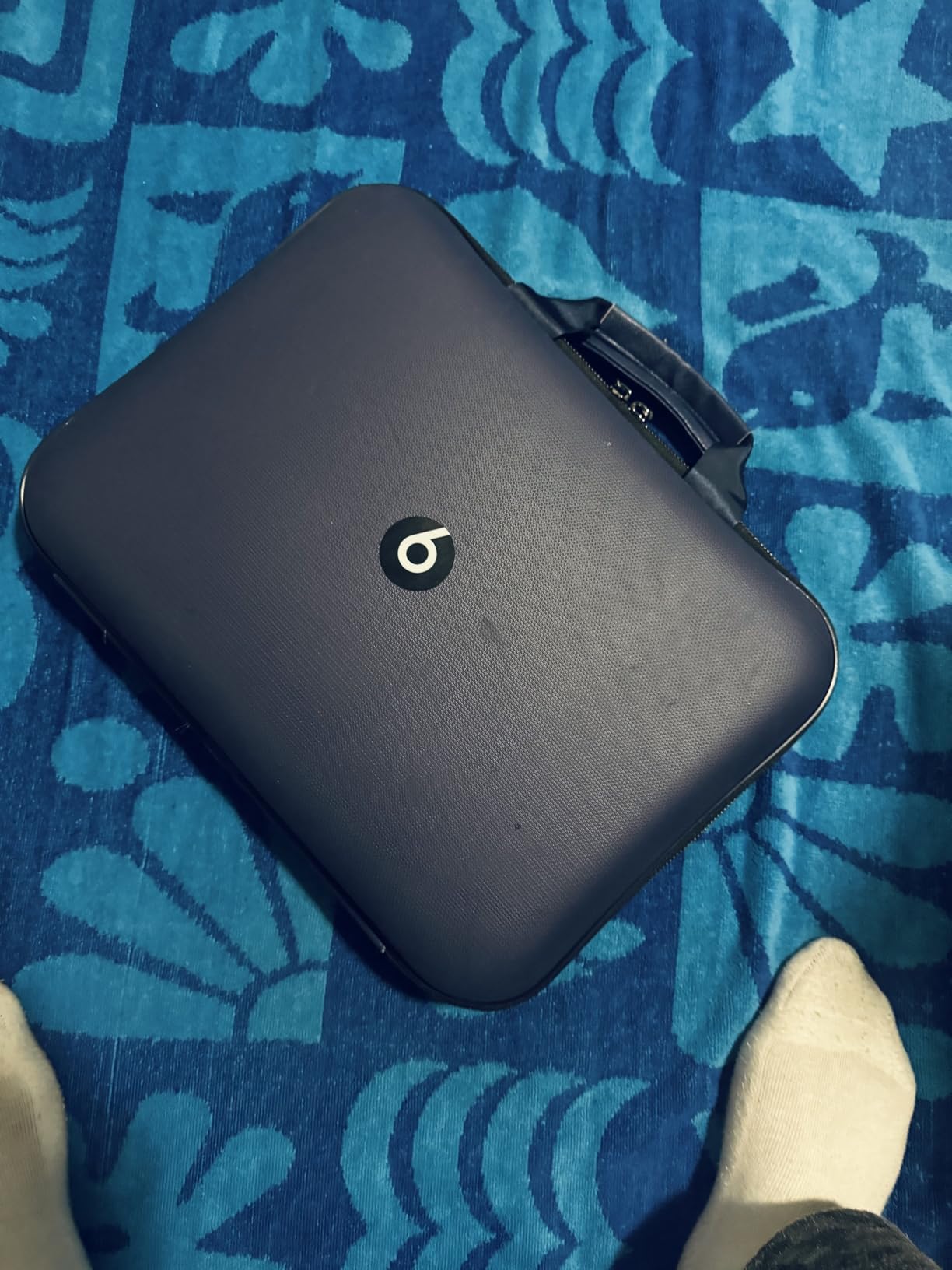 DocSafe Fireproof File Organizer with Lock, Hard-Shell Case Fireproof Document Box with 13 Pocket Accordion File Folder customer photo 2