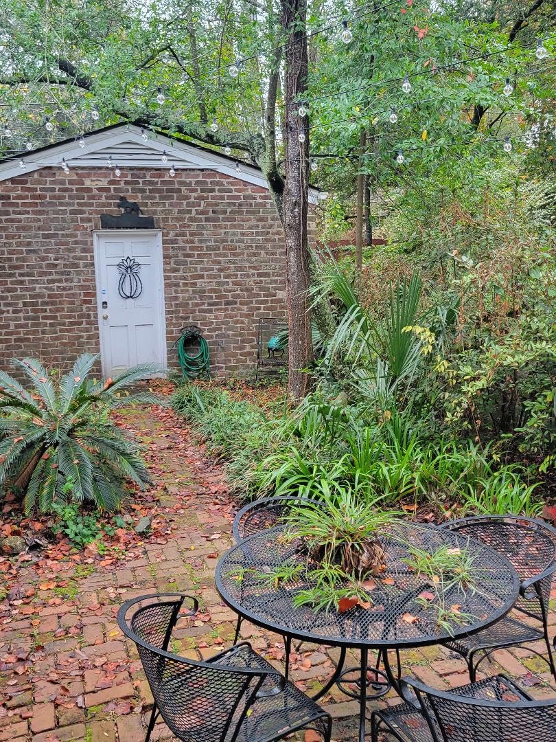 Brightown 108FT 52 LED Solar String Lights Outdoor with Remote & USB Port, Shatterproof Bulbs, Dimmable & Timable, 3 Light Modes, Patio Lights Solar Powered for Camping Backyard Garden Decor customer photo 2