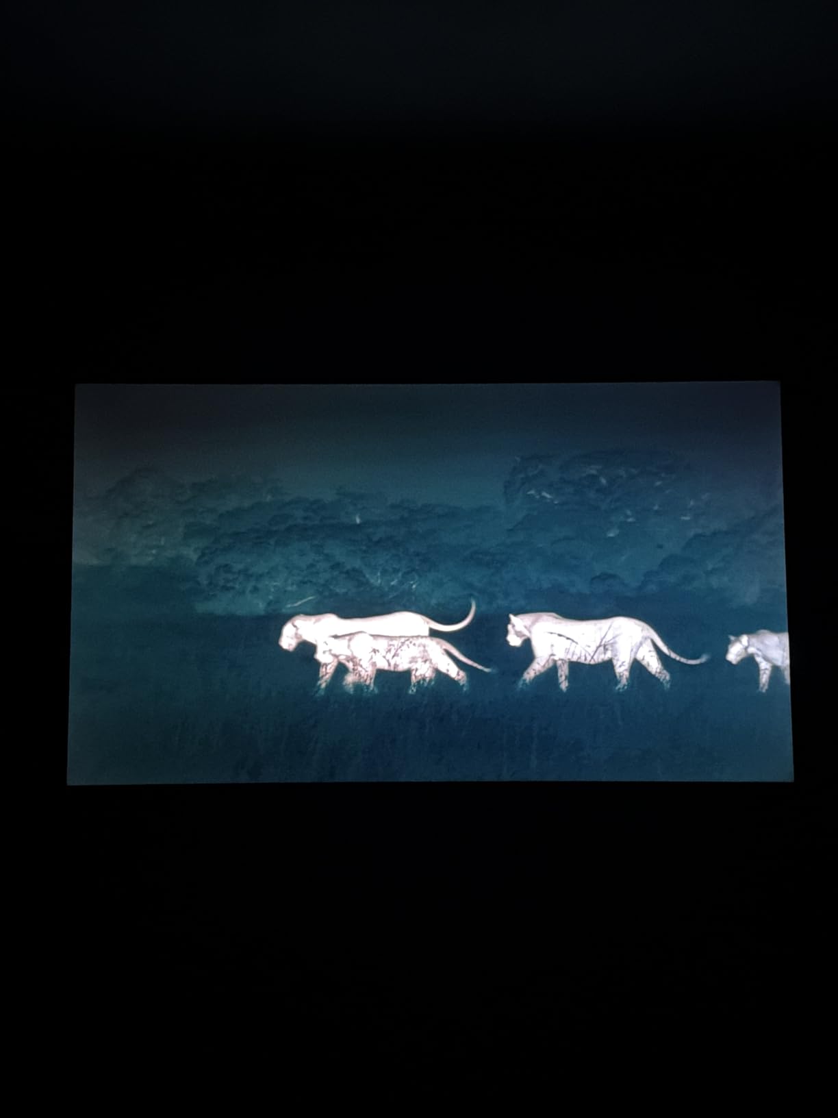 Roku Smart TV - 75-Inch Plus Series, Mini-LED TV - 4K QLED Television with Dolby Vision customer photo 1