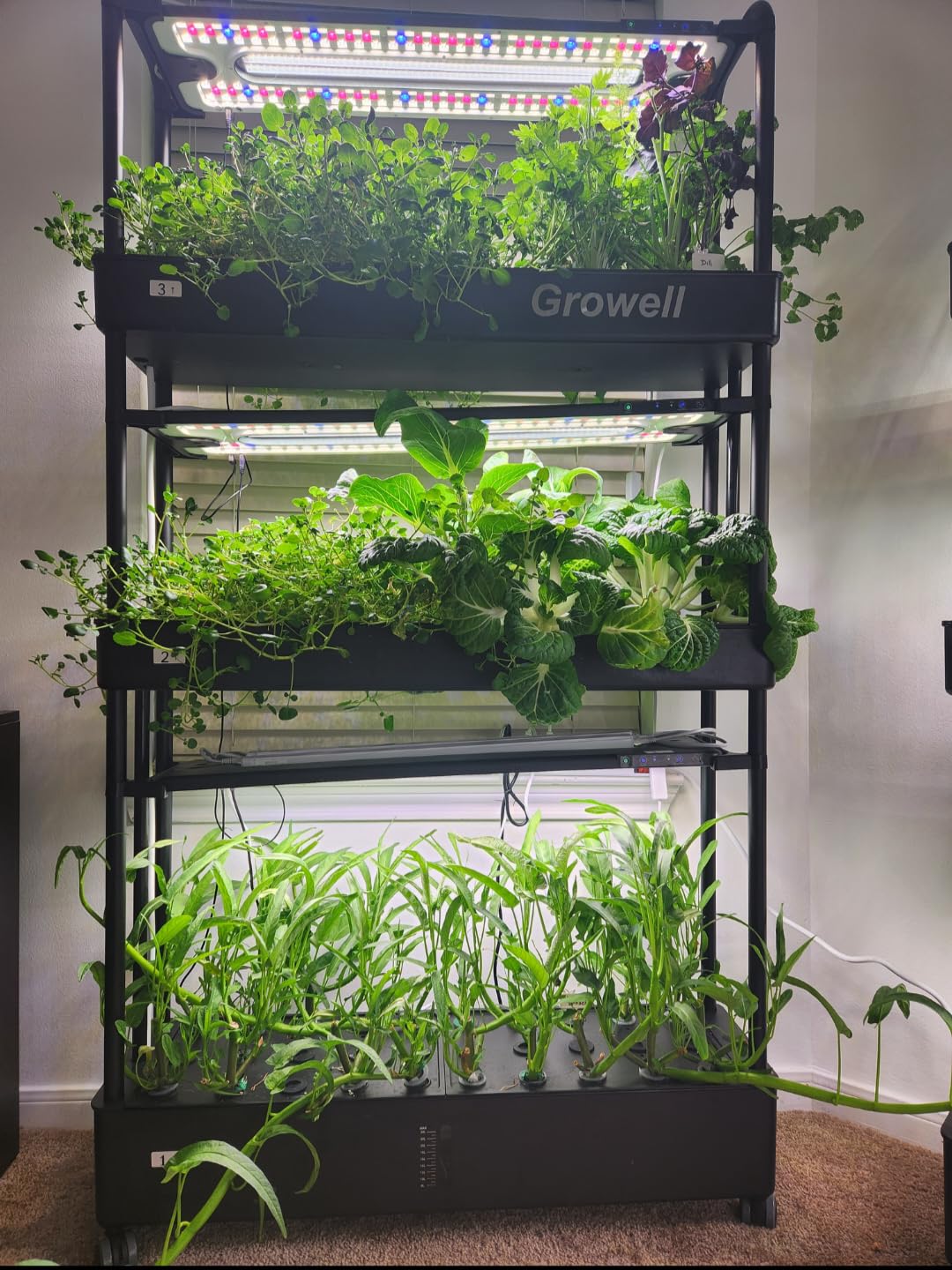 Large Hydroponics Growing System Kit, 120 Pods Vertical Hydroponic Garden with 2 Light Modes Grow Light, Auto Circulating Water System, 48L Indoor Gardening System for Herb Vegetable Fruit customer photo 1