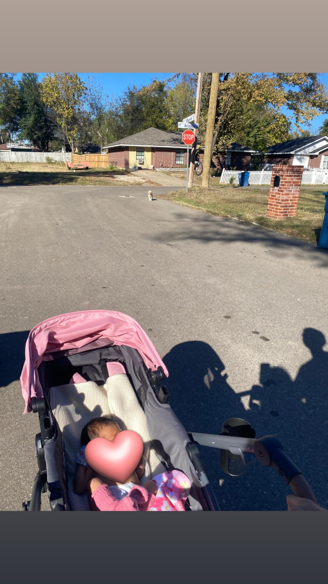 Evenflo Shyft Intuiti Travel System with Revolve180 LiteMax NXT Rotating Rear-Facing Lightweight Preemie and Infant Car Seat 3-30 lbs. (Fossil Gray) customer photo 2