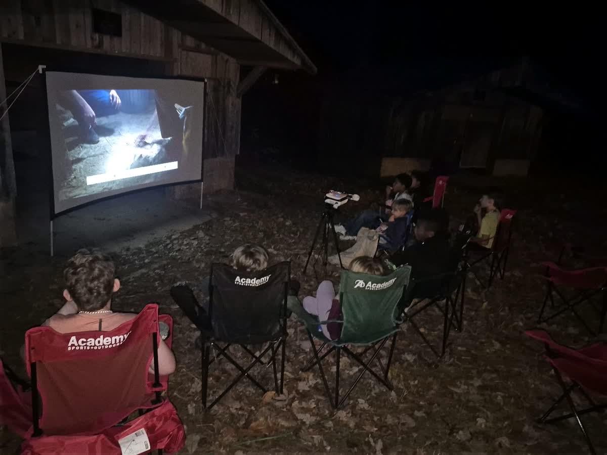 Outdoor Projector Screen with Stand 100 Inch: Portable Projection Screen 16:10 4K HD Outdoor Movie Screen with Carry Bag for Home Backyard Theater customer photo 1