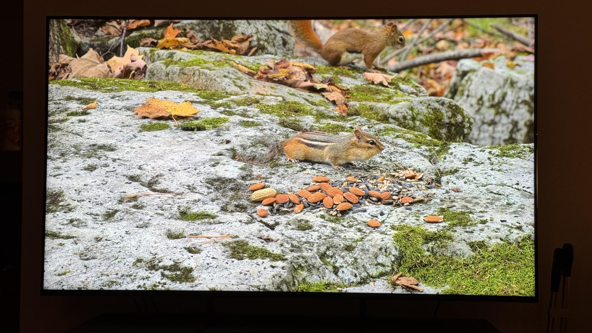 BRAVIA 5 65 Inch TV, Mini LED, 4K Smart Google TV, XR Processor with AI Technology, 120hz Television with Dolby Vision/Atmos, Exclusive Features for PlayStation 5, K-65XR50, 2025 Model customer photo 2