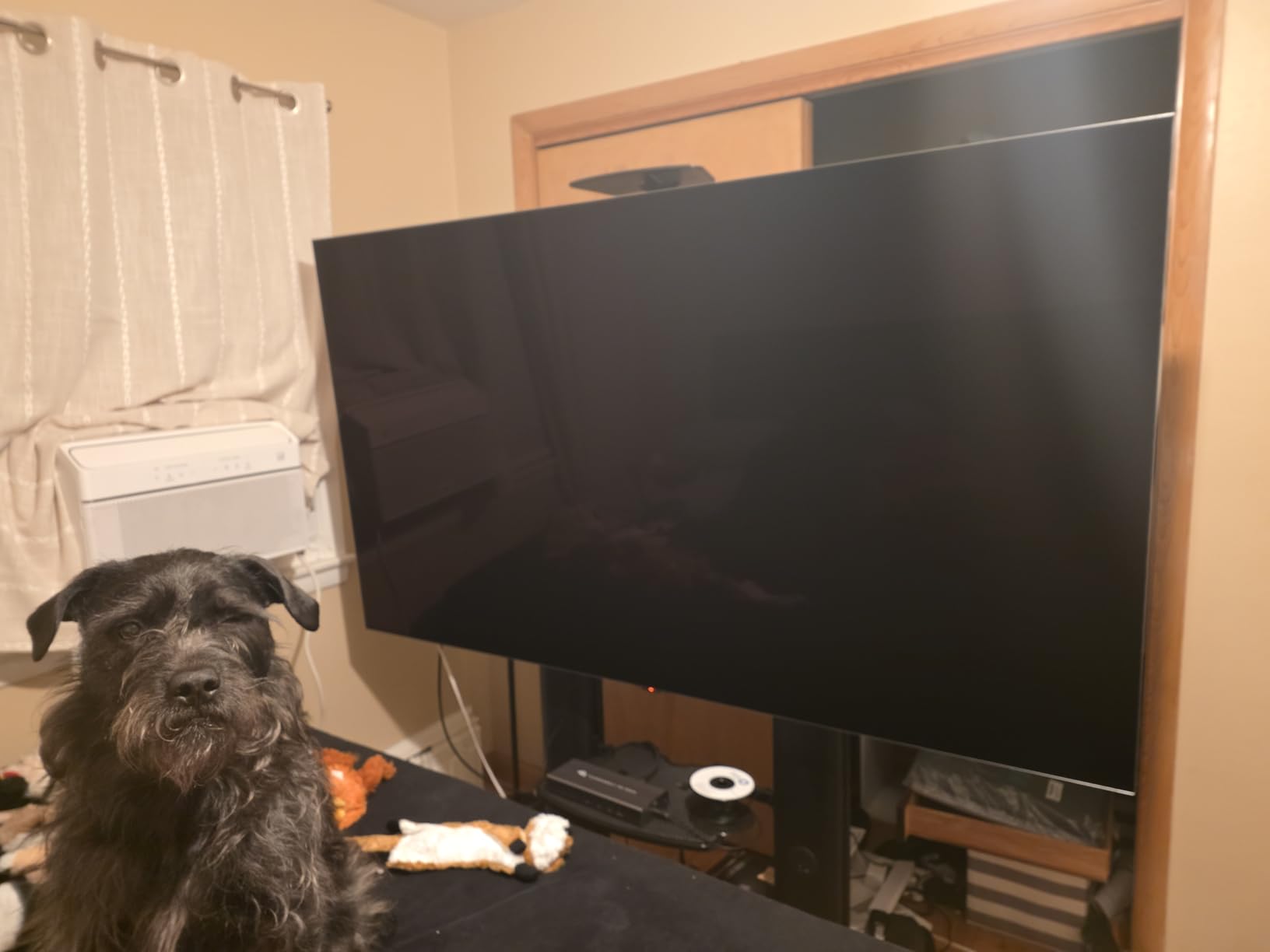 LG 83-Inch Class OLED evo AI 4K G5 Series Smart TV w/Dolby Atmos, Dolby Vision, HDR10, AI Super Upscaling 4K, Filmmaker Mode, Wow Orchestra, Alexa Built-in (OLED83G5WUA, 2025) customer photo 2