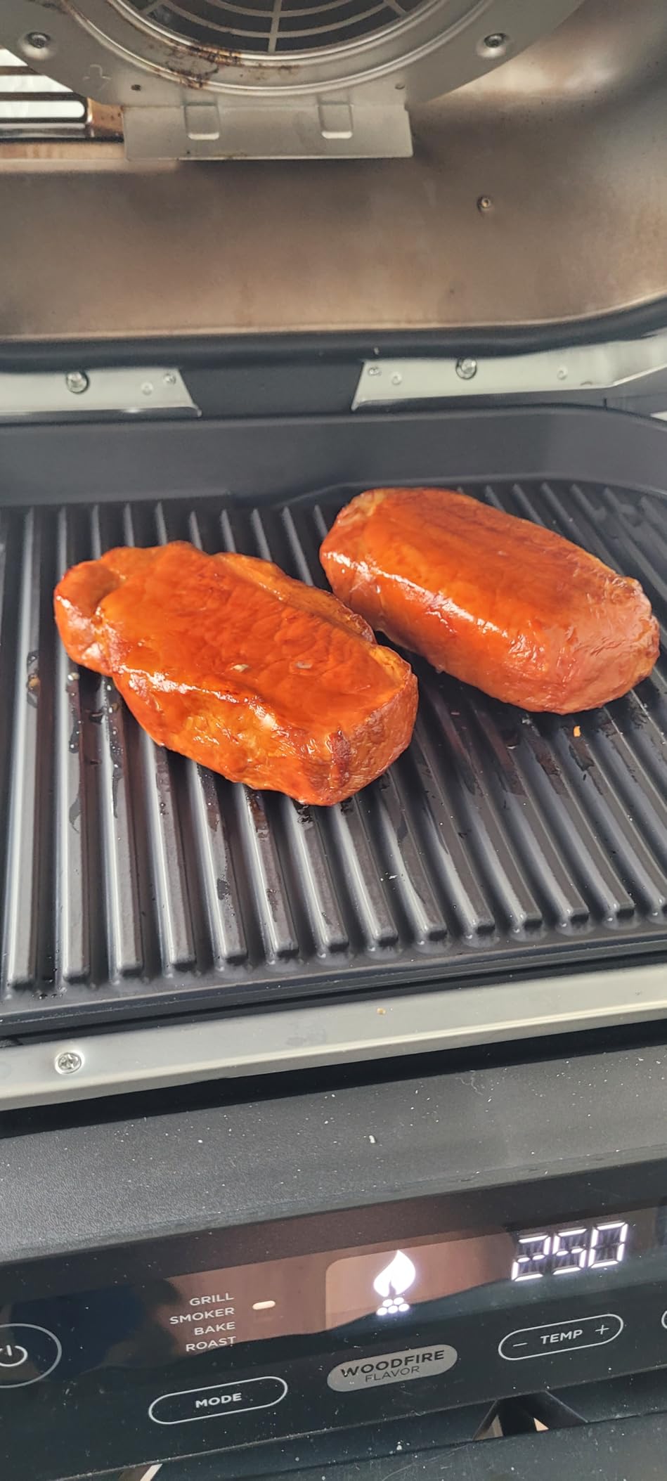 Ninja Woodfire Outdoor Grill & Smoker, 4-in-1 Functionality, Grill, Smoke, Bake, Roast, Authentic Woodfire Flavors, Electric Heat, OG301 customer photo 1