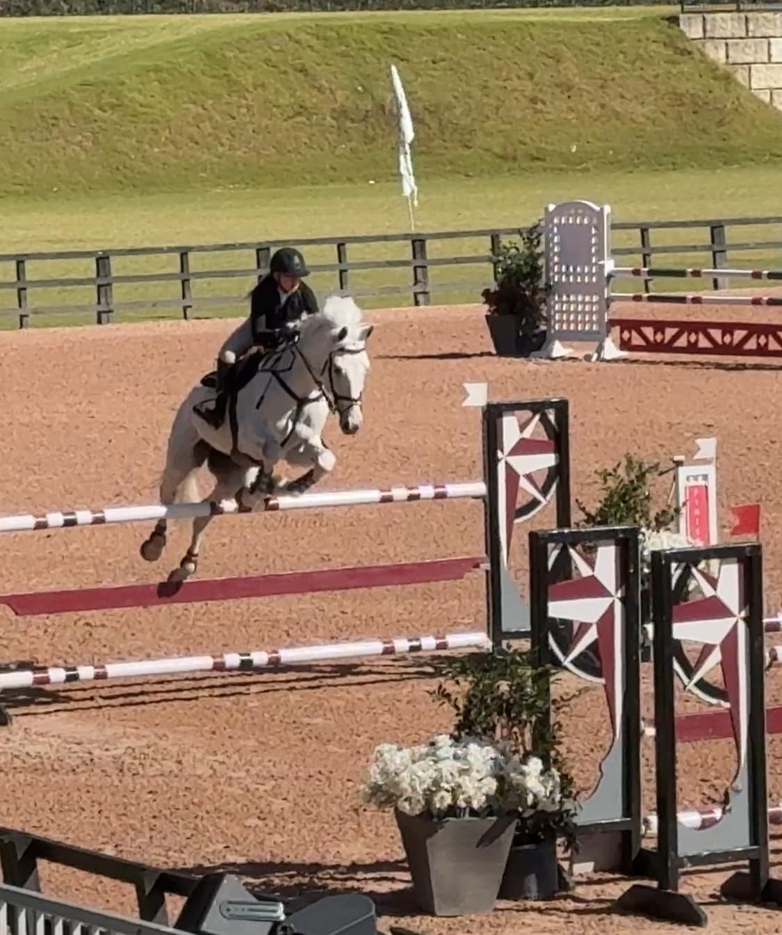 Off Road Electric Scooter Long Range, Fast Electric Scooter 30 Mph Speed, Heavy Duty 300+ lb Capacity & Dual Suspension customer photo 2