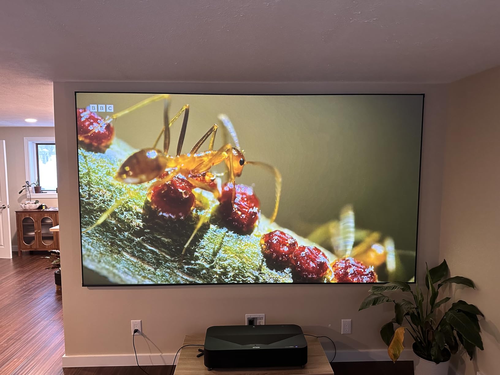 NothingProjector ALR Screen for Ultra Short Throw Projector, 95% Ambient Ceiling Light Rejecting, 150 inch, 4K/8K UHD, Active 3D, Fixed Frame 16:9, Wall Mount Anti Daylight UST, Black Series NothPJ customer photo 1