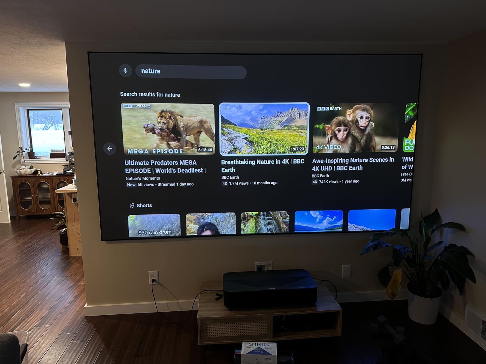 NothingProjector ALR Screen for Ultra Short Throw Projector, 95% Ambient Ceiling Light Rejecting, 150 inch, 4K/8K UHD, Active 3D, Fixed Frame 16:9, Wall Mount Anti Daylight UST, Black Series NothPJ customer photo 2