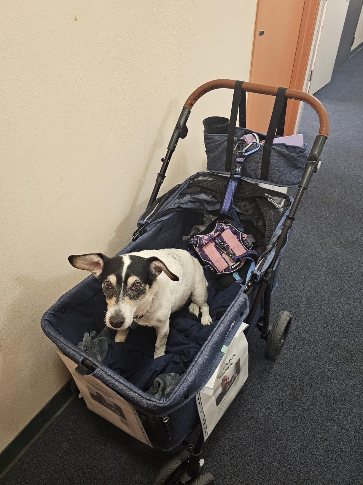 Dog Stroller for Large & Medium Dogs (20-132 lbs), Pet Stroller for 2 Small Dogs, Extra Large Heavy Duty, Foldable & Ventilated customer photo 2