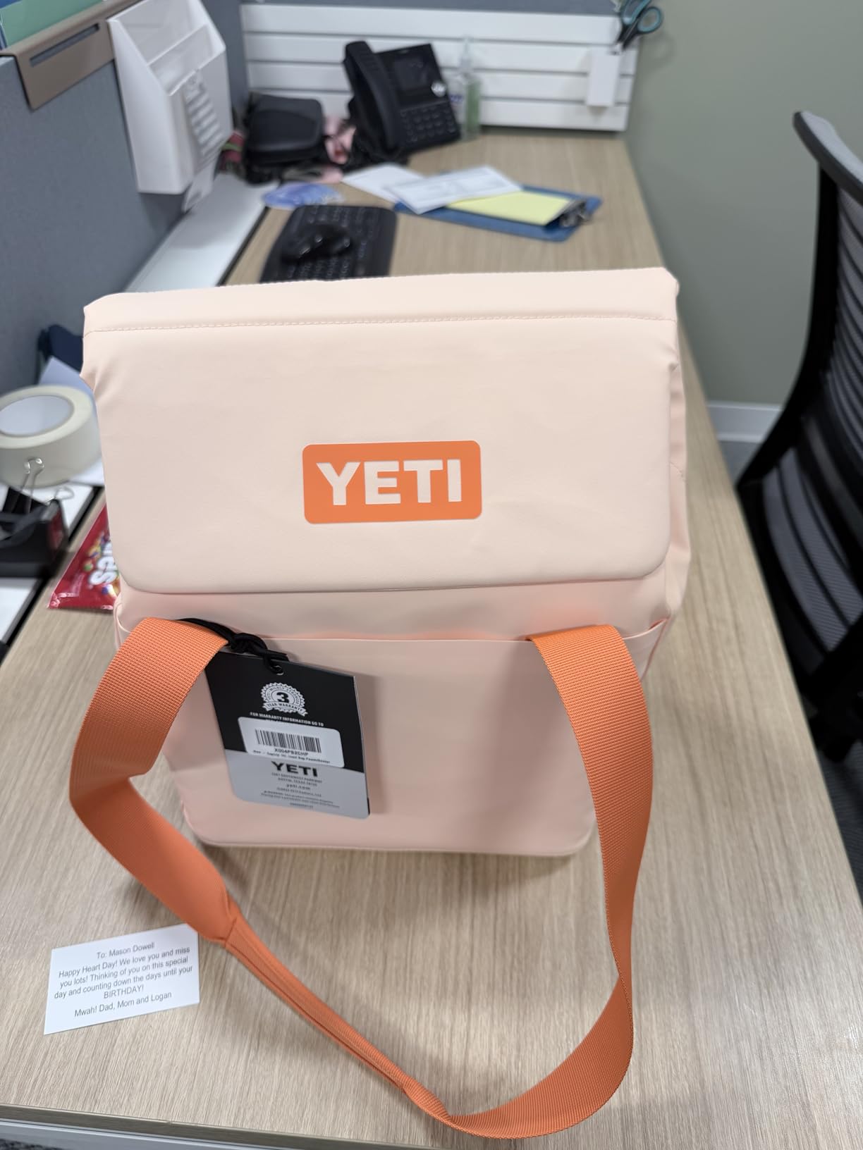 YETI Daytrip 14L Insulated Soft Cooler Tote Bag customer photo 2