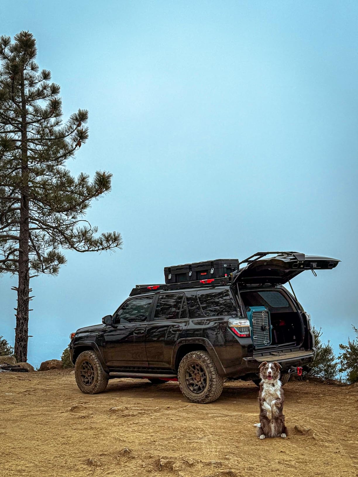 Mammoth Guardian Dog Kennel 36