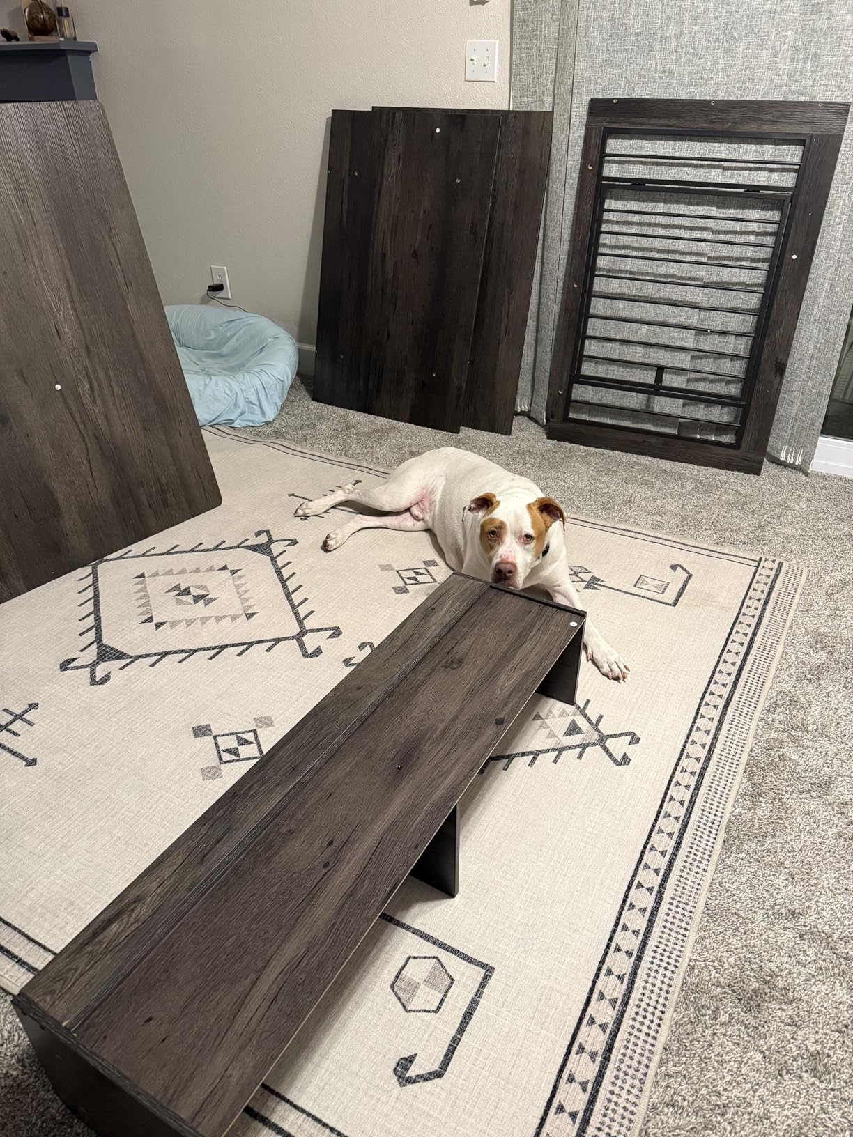 IRONCK Extra Large Dog Crate Furniture, 43.3 inches Wooden Dog Crate with Storage and 4 Hooks, Heavy Duty Pet Crate for Large Dog, Decorative Pet Cage for Indoor (30