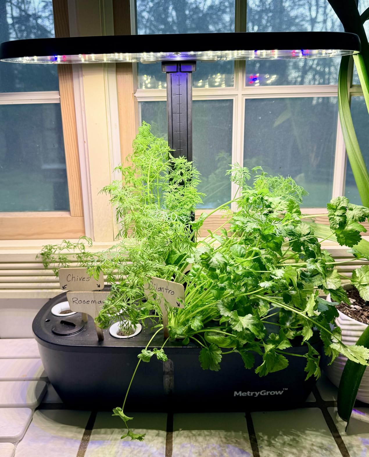 MG-15 Hydroponic Growing System Kits, Smart Indoor Garden with 24W Grow LED Light Full Spectrum, 15 Pods Herb Garden Planter Indoor Gardening for Gifts, Kitchen customer photo 2