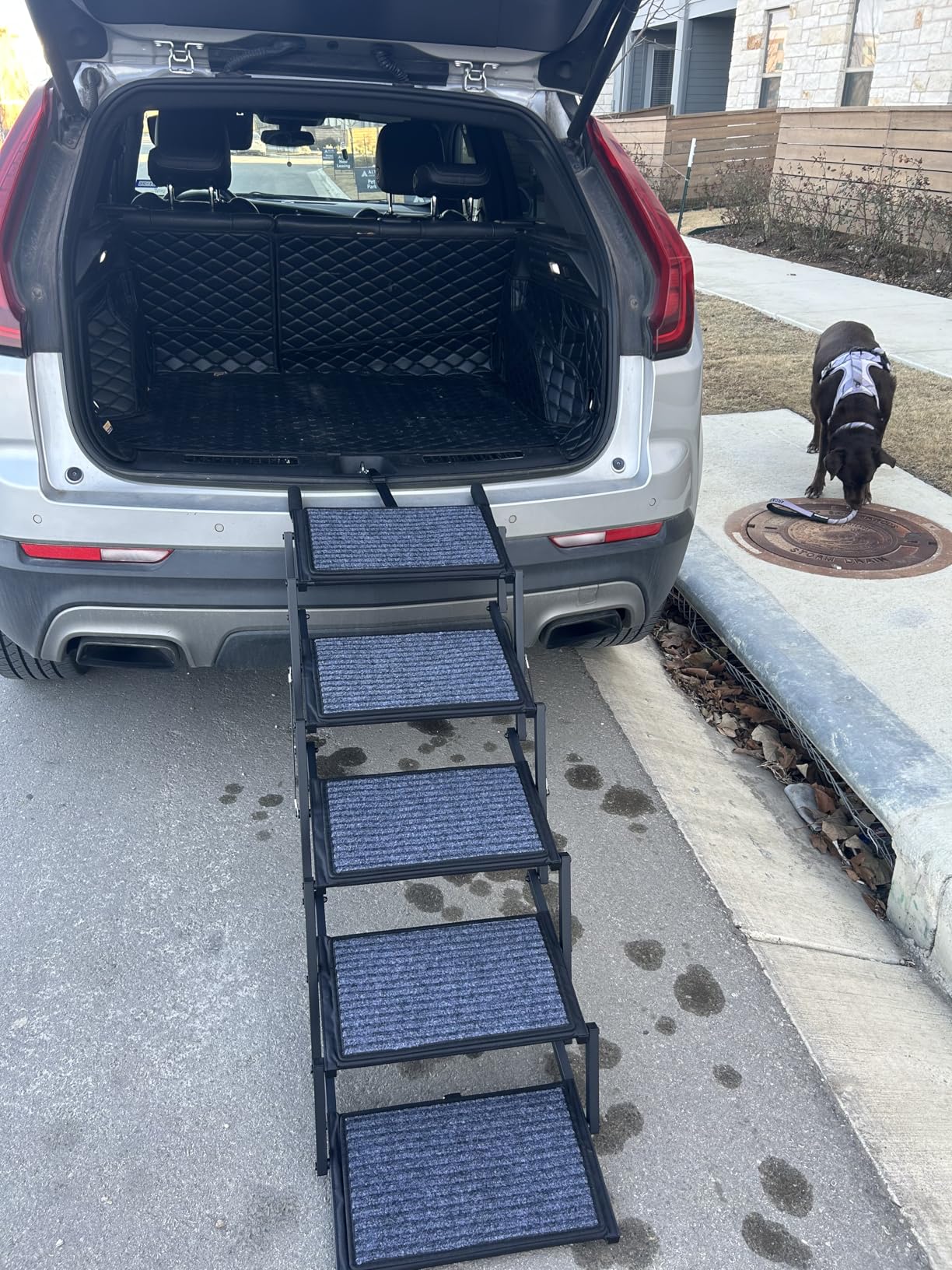 Dog Steps for Car, Truck and SUV - Foldable Pet Stairs for Large Dogs with Non-Slip Rug Surface, Lightweight Dog Ramp Holds Up to 250lbs, 5 Steps (Black Metal Fram, 5 Steps) customer photo 1