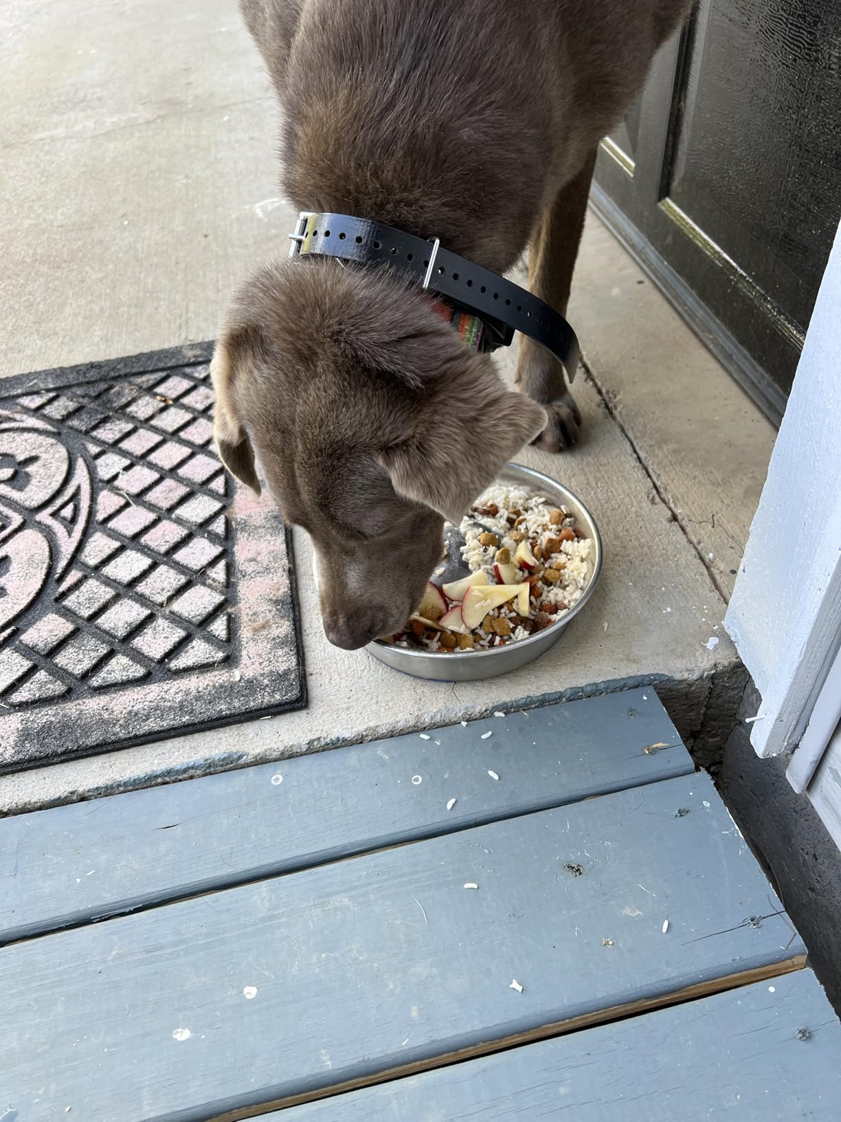 Dogtra ARC-X E-Collar for Dog Training - 3/4 Mile Range, for Dogs 15 lbs+, Slim Design, IPX9K Waterproof, 100 Stimulation Levels, Vibration, Tone, Rechargeable - Dog Owners and Professional Trainers customer photo 1