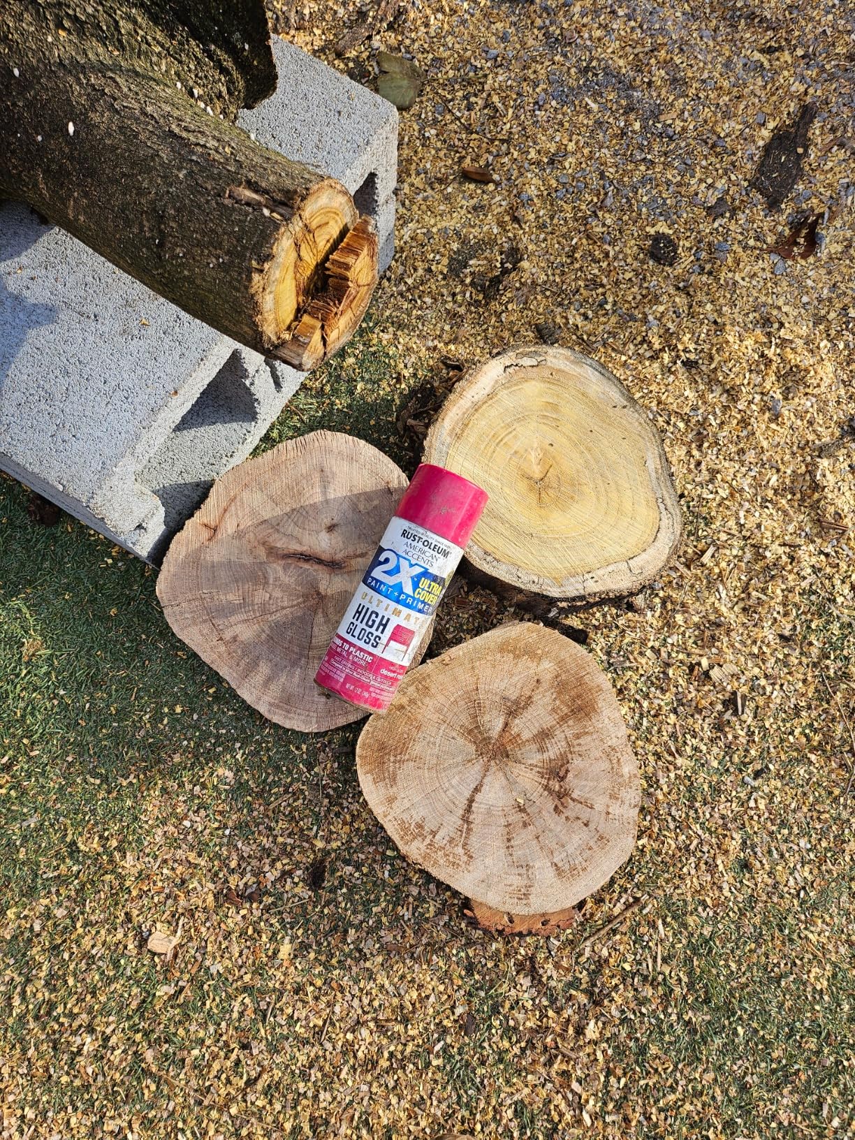 WEN Electric Chainsaw, Corded, 15-Amp, 18-Inch (CP1518) customer photo 2