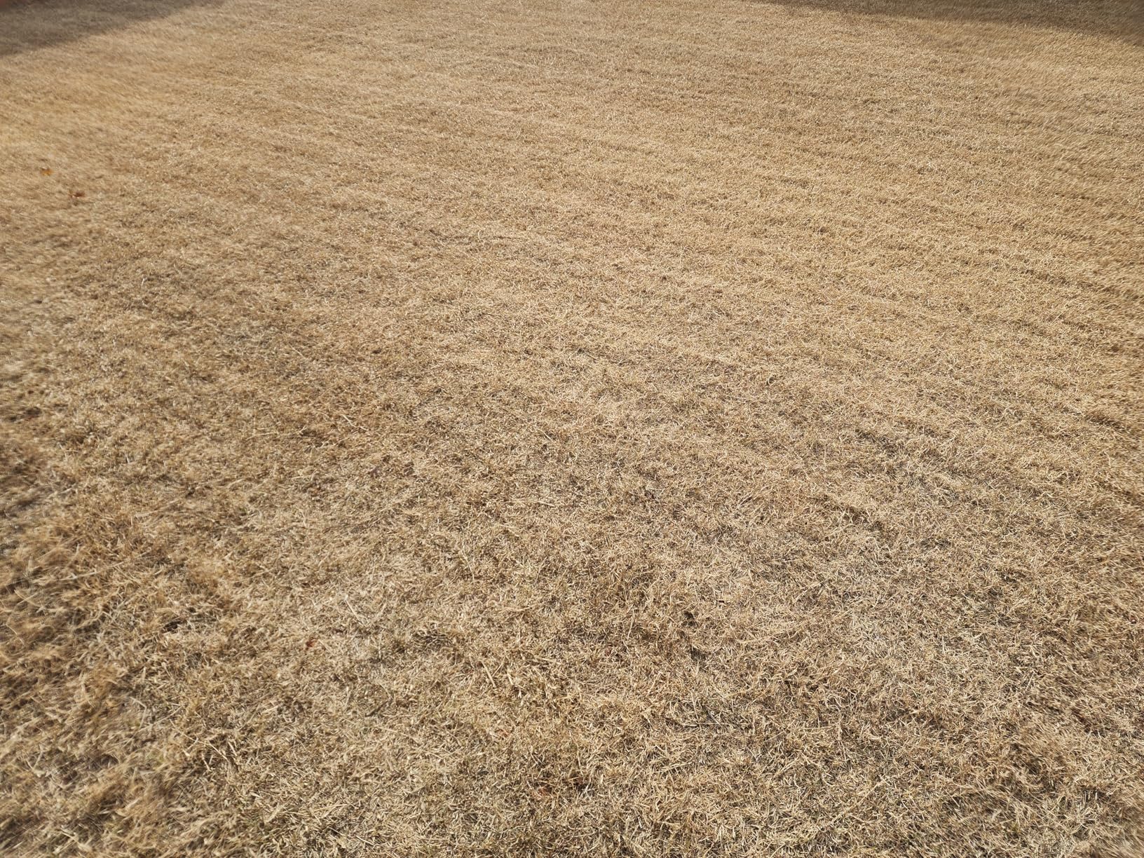 Neomow X SE Robot Lawn Mower Perimeter Wire Free for 0.75 Acre 3D LiDAR SLAM+Vision Mapping Robotic Lawnmower with 4G, No RTK Station Required, AI Accurate Obstacle Avoidance, App Control, Anti-Theft customer photo 2