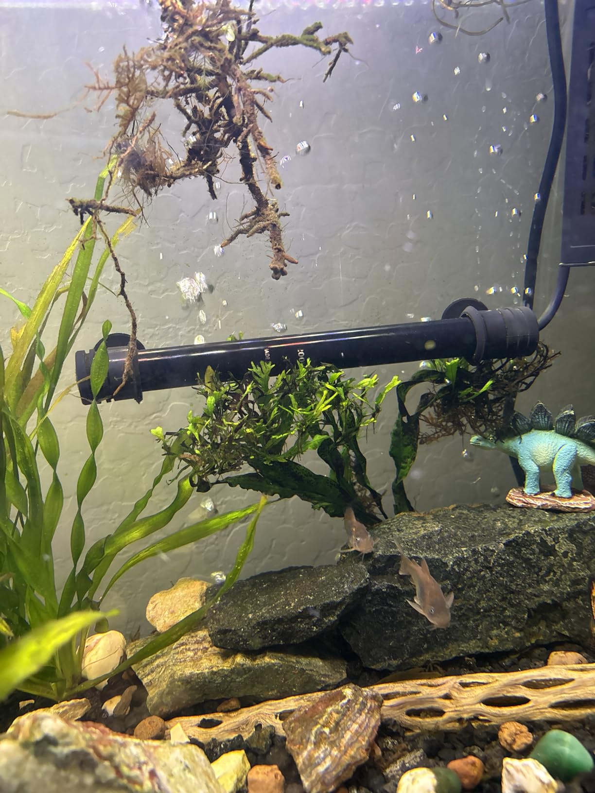 NICREW 50W Aquarium Heater with Temperature Adjustable Controller & Dual Sensors, 5-10 Gallon Submersible Fish Tank Heater, Overheat Protection customer photo 2